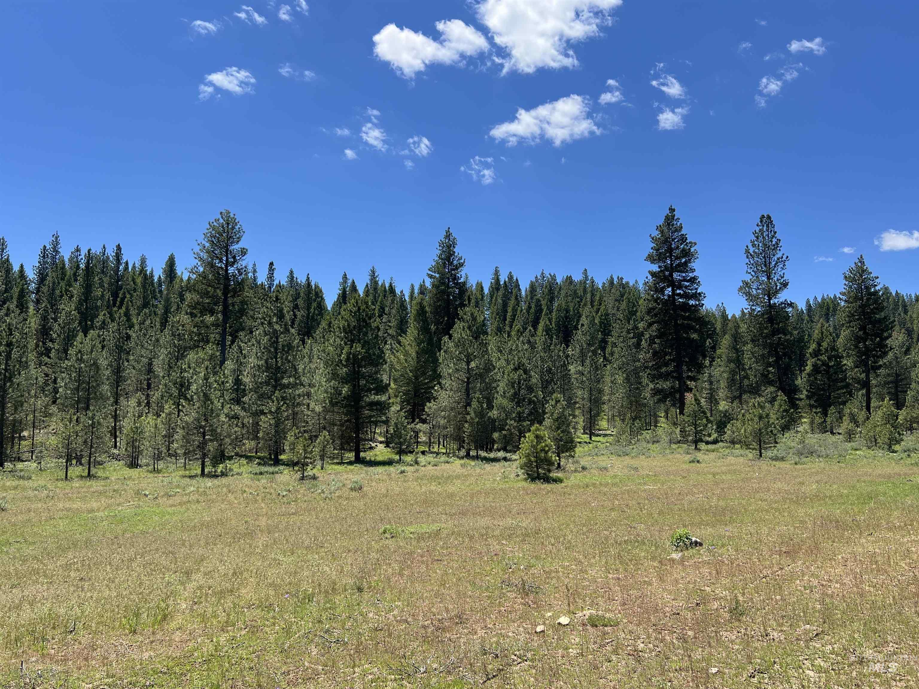Lot 12 Star Creek Ct, Placerville, Idaho 83636-6, Land For Sale, Price $225,000,MLS 98930173