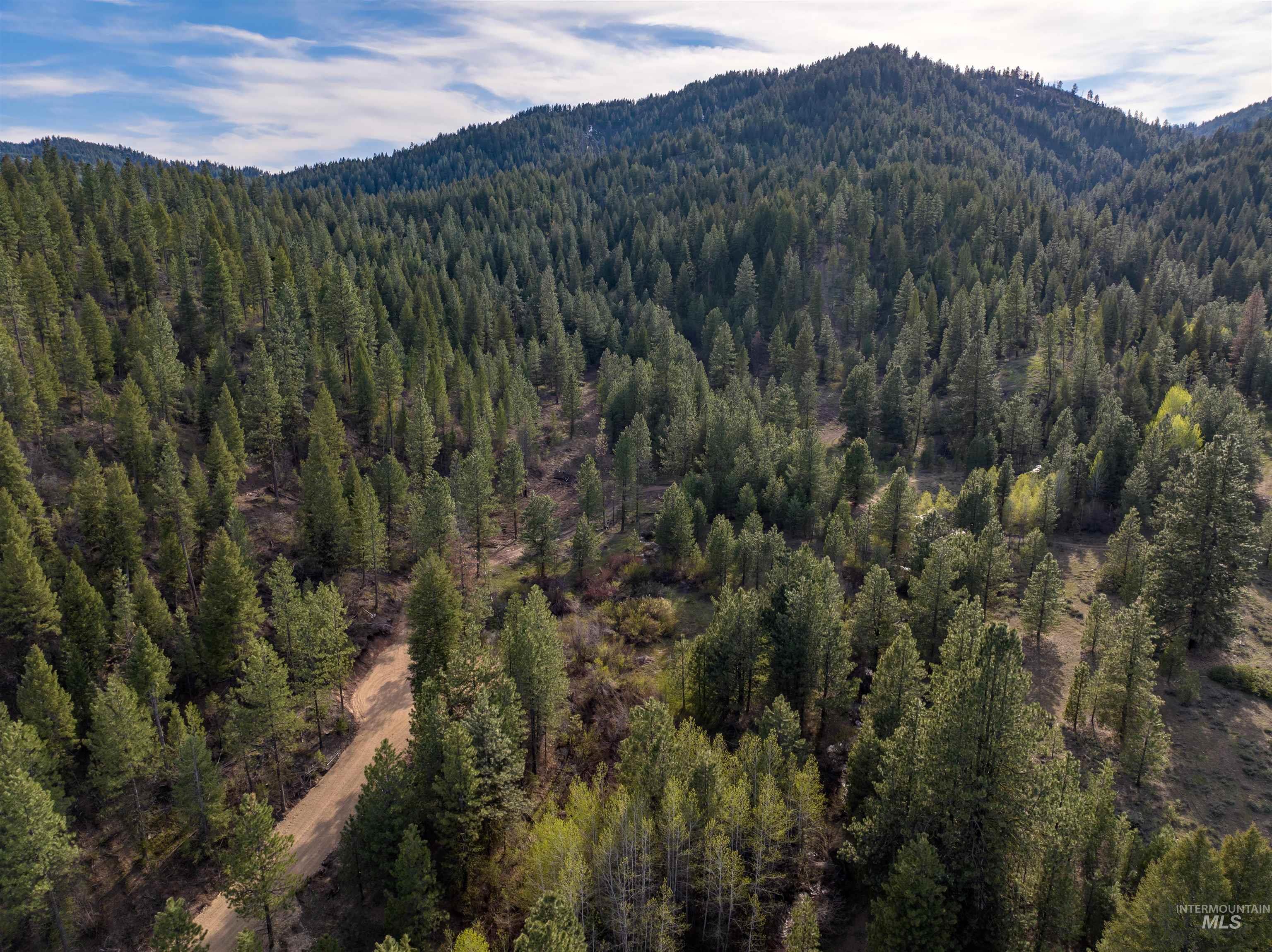 Lot 15 Trail Creek Ct, Placerville, Idaho 83666, Land For Sale, Price $495,000,MLS 98930177