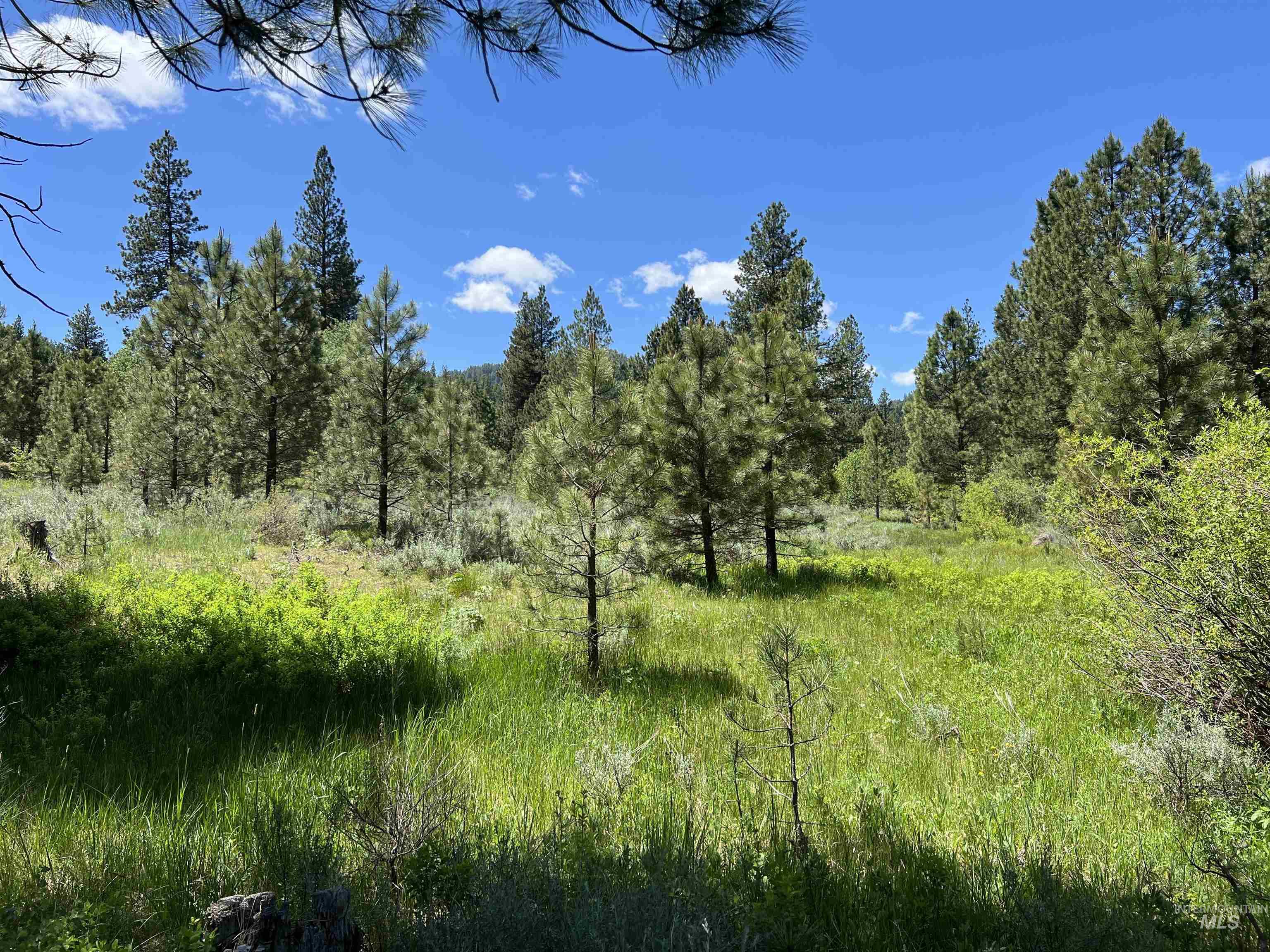 Lot 15 Trail Creek Ct, Placerville, Idaho 83666, Land For Sale, Price $495,000,MLS 98930177