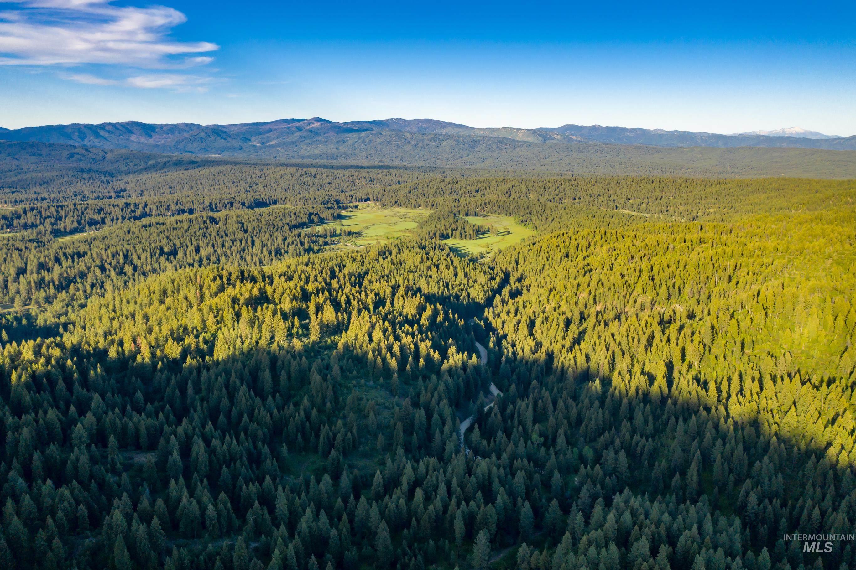 Lot 15 Trail Creek Ct, Placerville, Idaho 83666, Land For Sale, Price $495,000,MLS 98930177