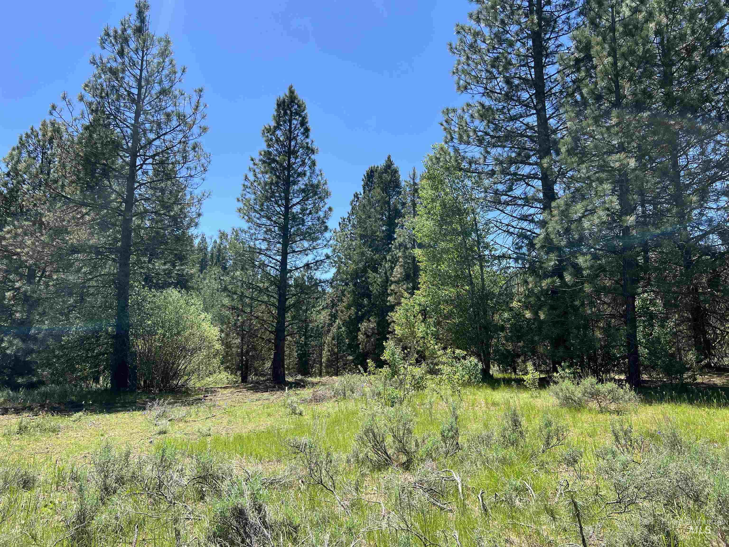 Lot 15 Trail Creek Ct, Placerville, Idaho 83666, Land For Sale, Price $495,000,MLS 98930177