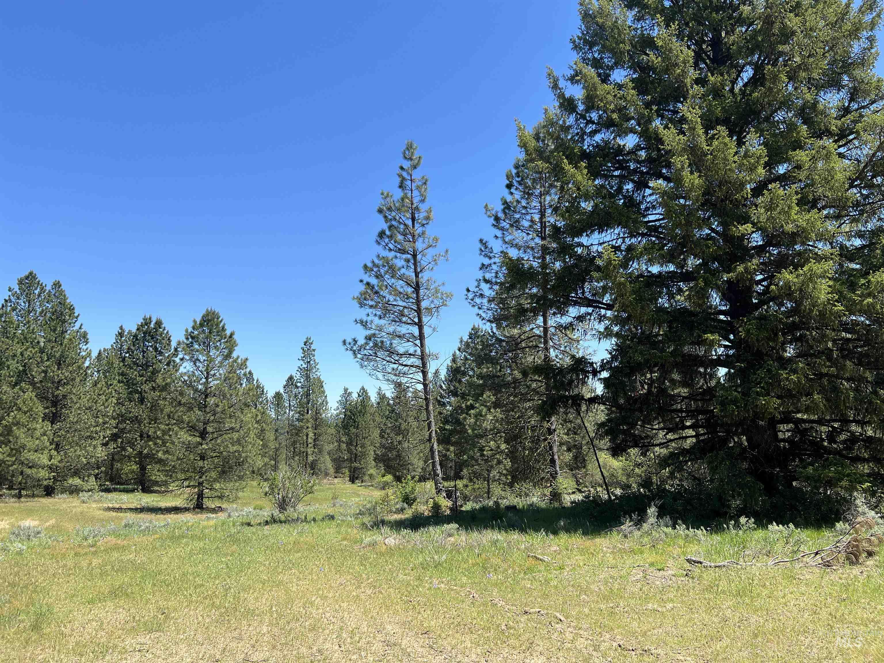 Lot 15 Trail Creek Ct, Placerville, Idaho 83666, Land For Sale, Price $495,000,MLS 98930177