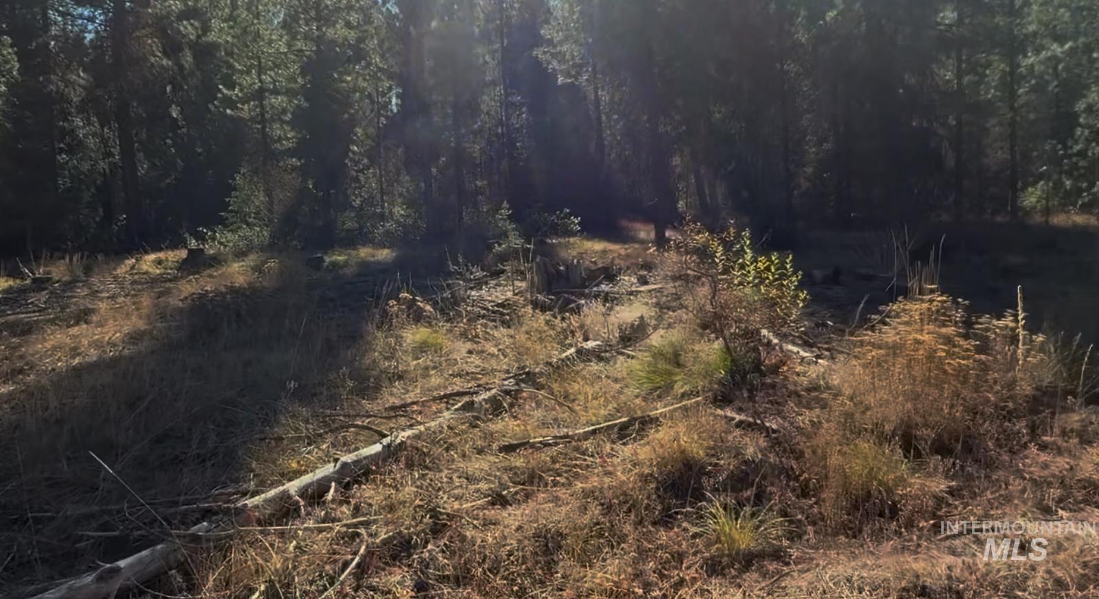 Lot 19 Trail Creek Ct, Placerville, Idaho 83666, Land For Sale, Price $195,000,MLS 98930215