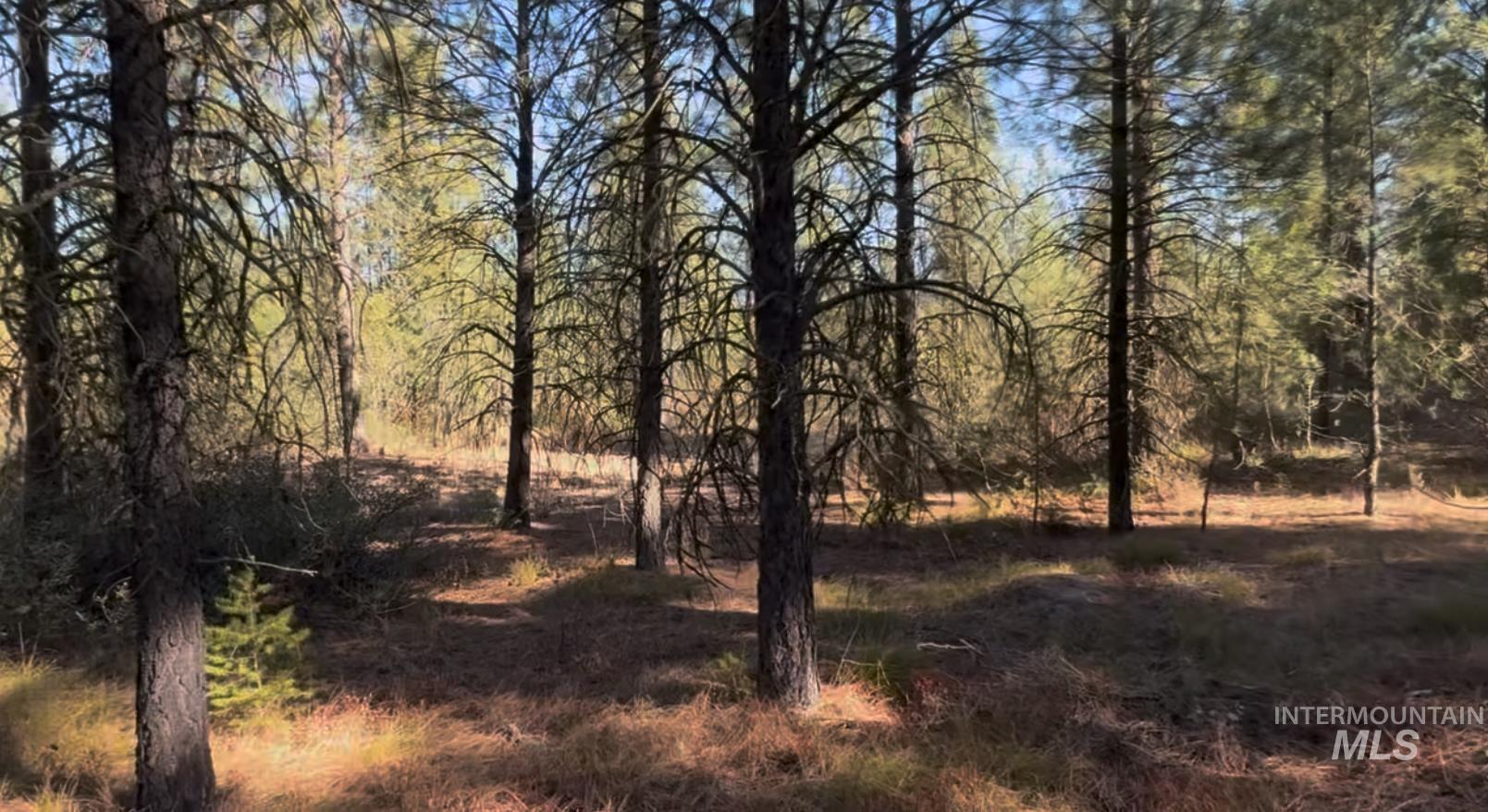 Lot 19 Trail Creek Ct, Placerville, Idaho 83666, Land For Sale, Price $195,000,MLS 98930215