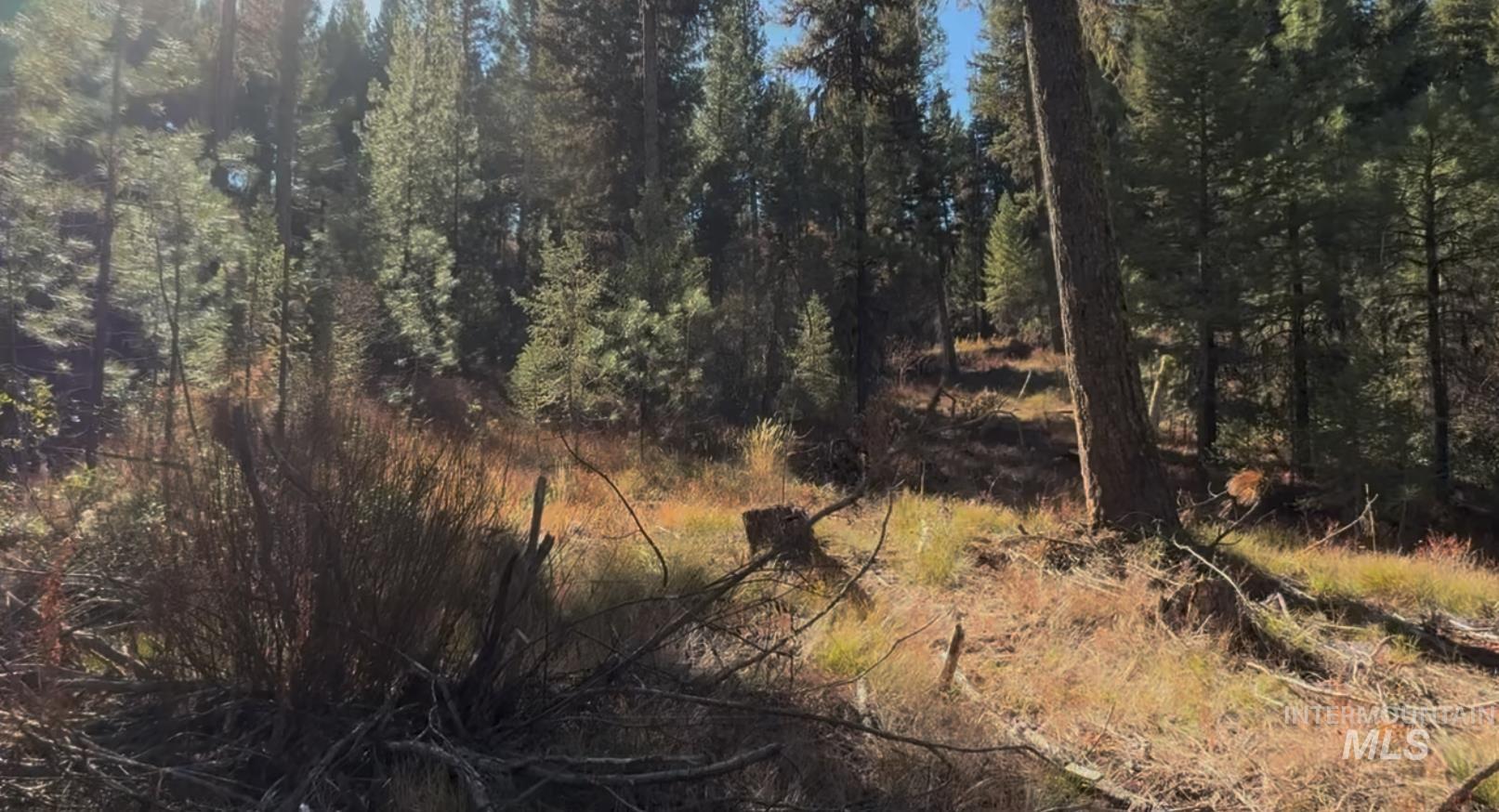 Lot 19 Trail Creek Ct, Placerville, Idaho 83666, Land For Sale, Price $195,000,MLS 98930215