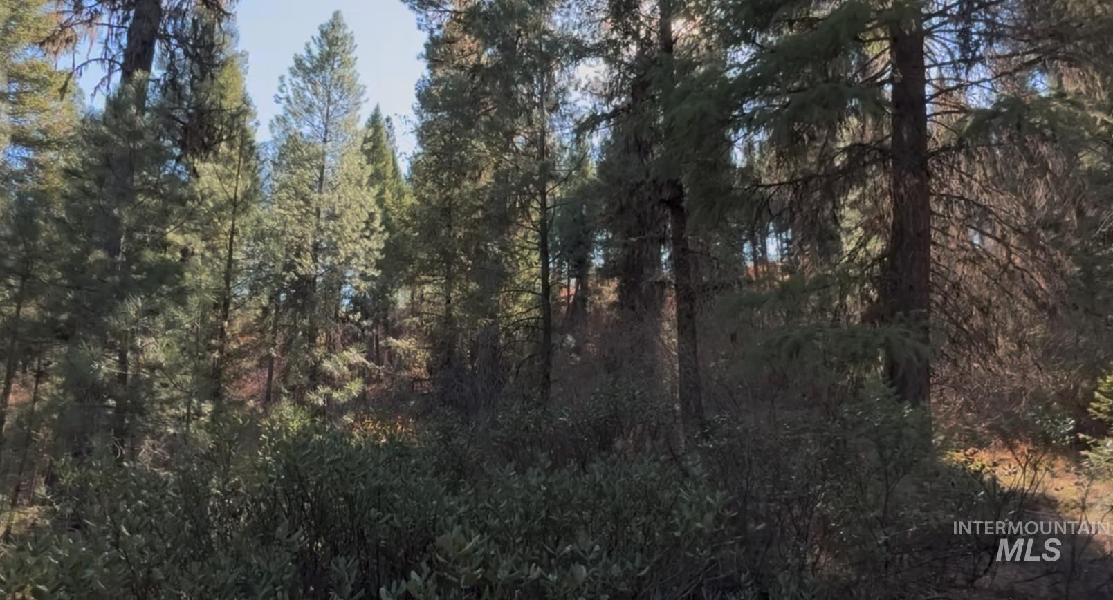 Lot 19 Trail Creek Ct, Placerville, Idaho 83666, Land For Sale, Price $195,000,MLS 98930215