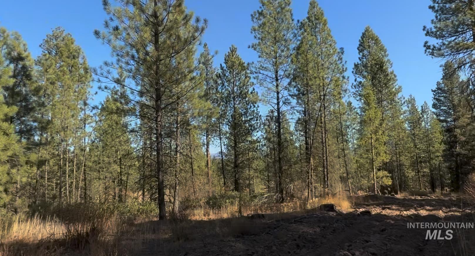 Lot 19 Trail Creek Ct, Placerville, Idaho 83666, Land For Sale, Price $195,000,MLS 98930215