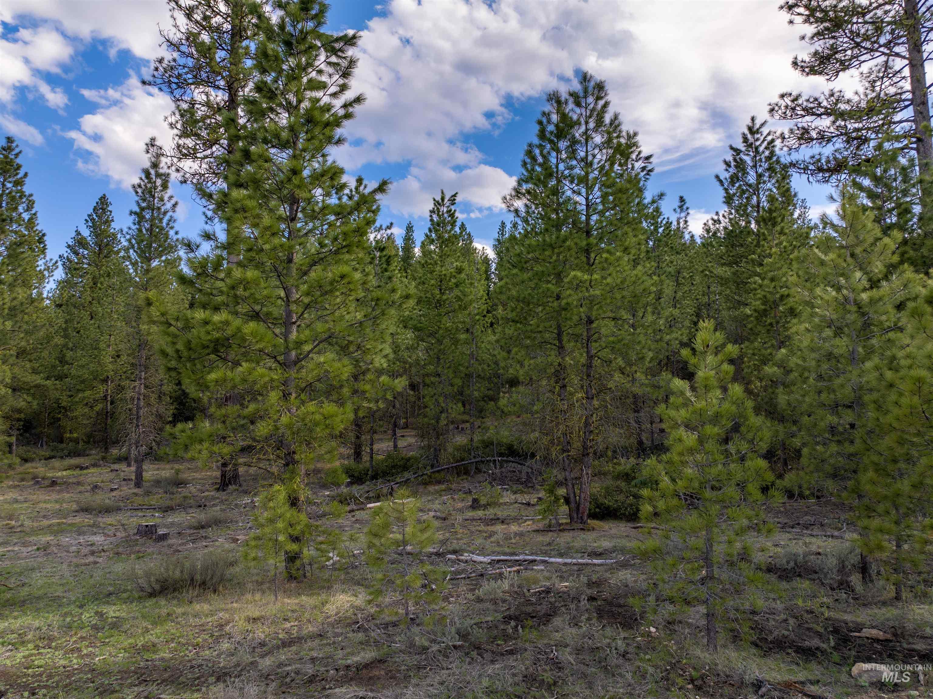 Lot 19 Trail Creek Ct, Placerville, Idaho 83666, Land For Sale, Price $195,000,MLS 98930215