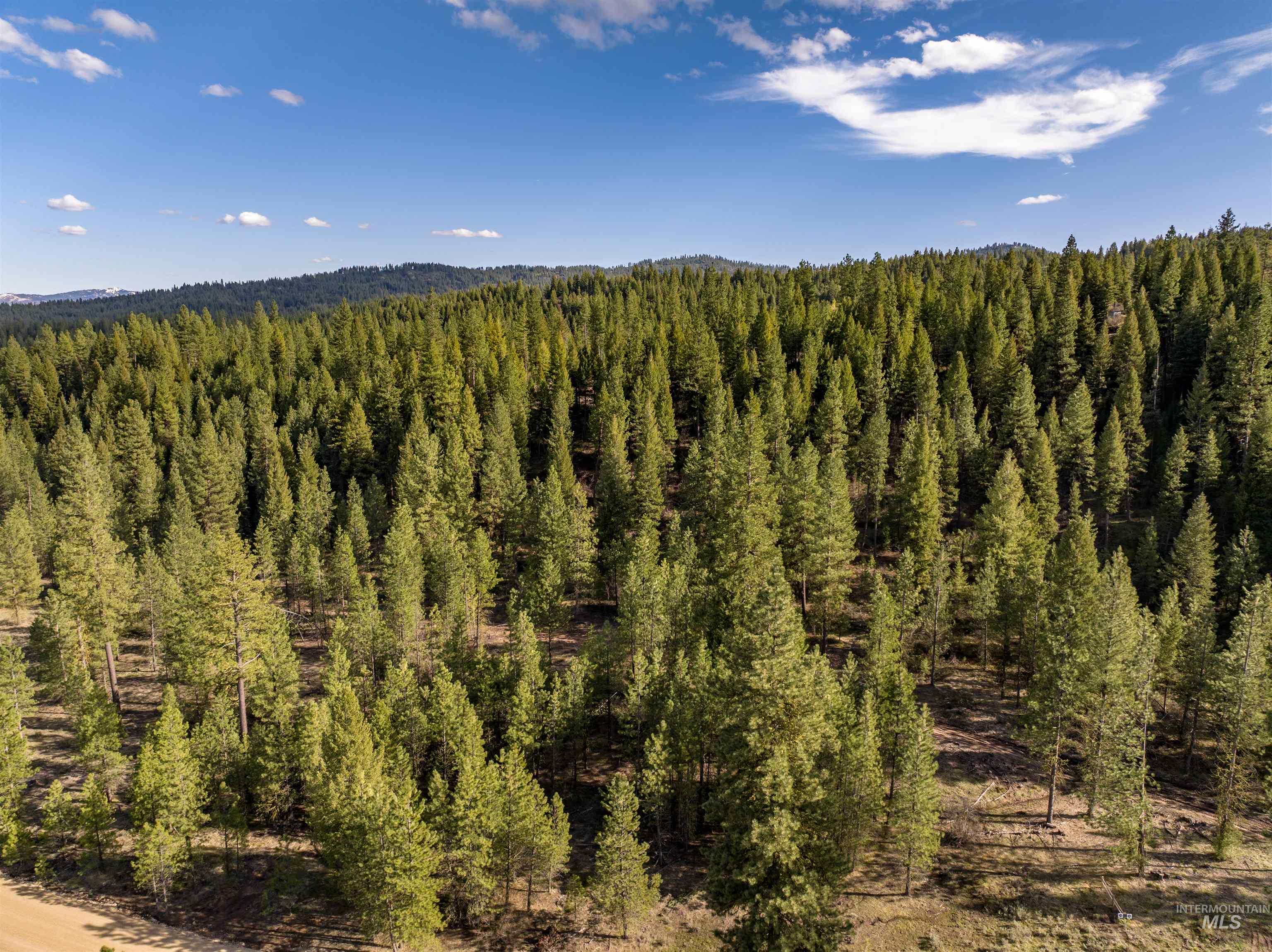 Lot 19 Trail Creek Ct, Placerville, Idaho 83666, Land For Sale, Price $195,000,MLS 98930215