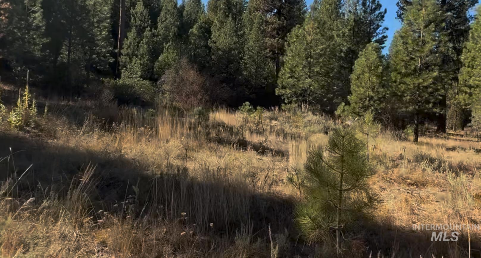Lot 23 Trail Creek Ct, Placerville, Idaho 83666, Land For Sale, Price $175,000,MLS 98930217