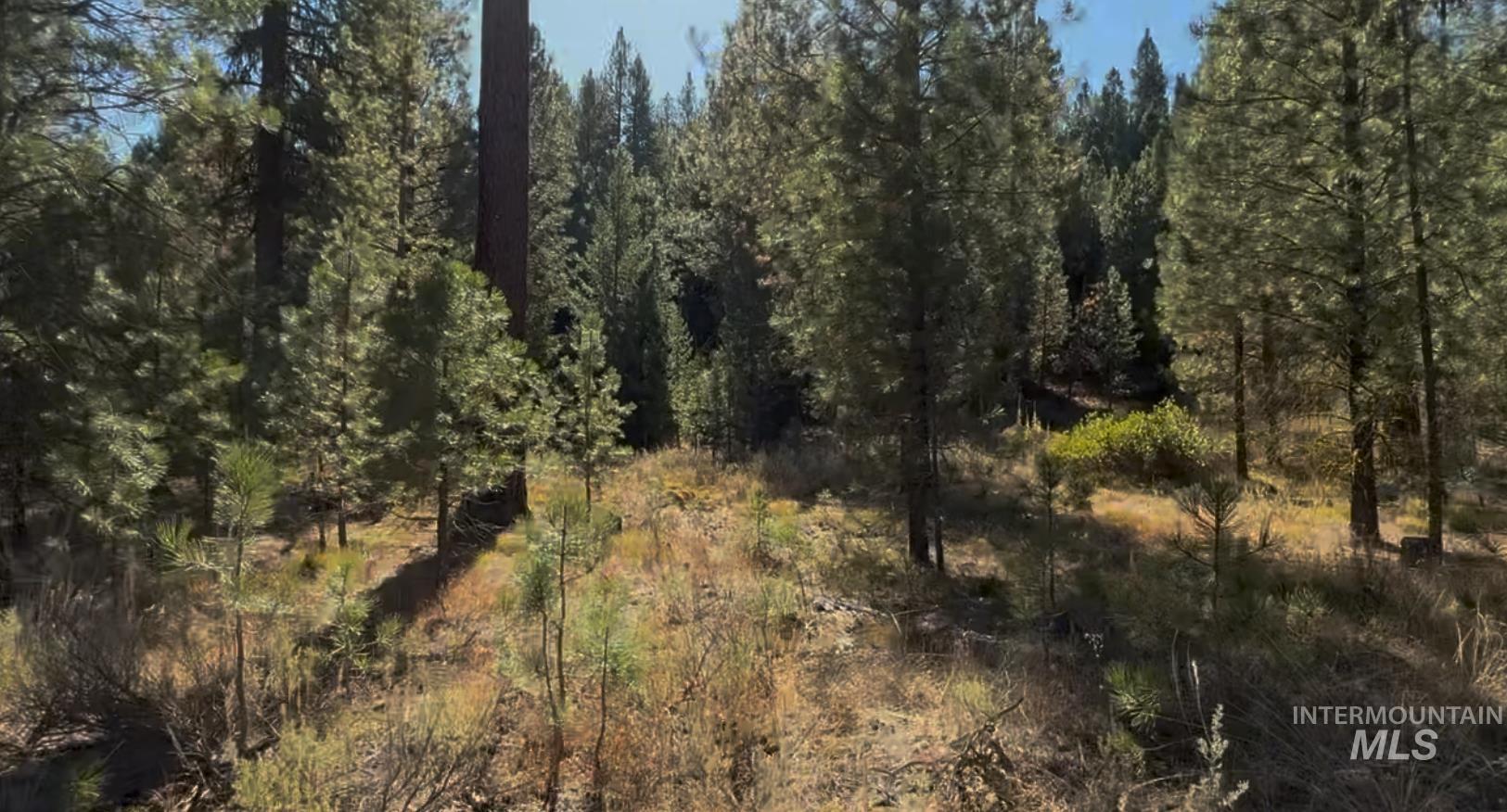 Lot 23 Trail Creek Ct, Placerville, Idaho 83666, Land For Sale, Price $175,000,MLS 98930217