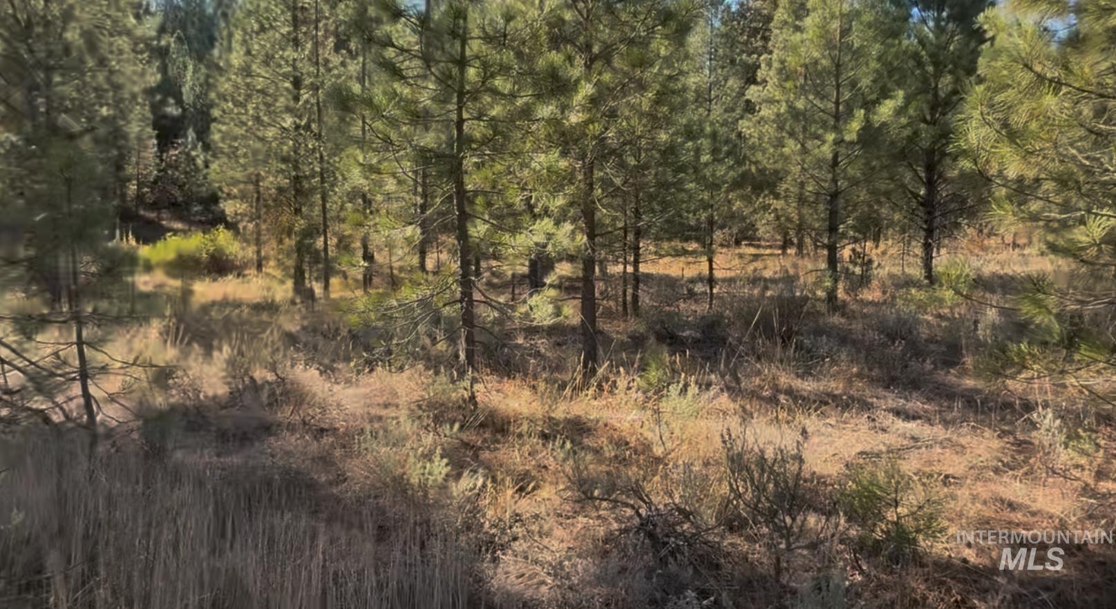 Lot 23 Trail Creek Ct, Placerville, Idaho 83666, Land For Sale, Price $175,000,MLS 98930217