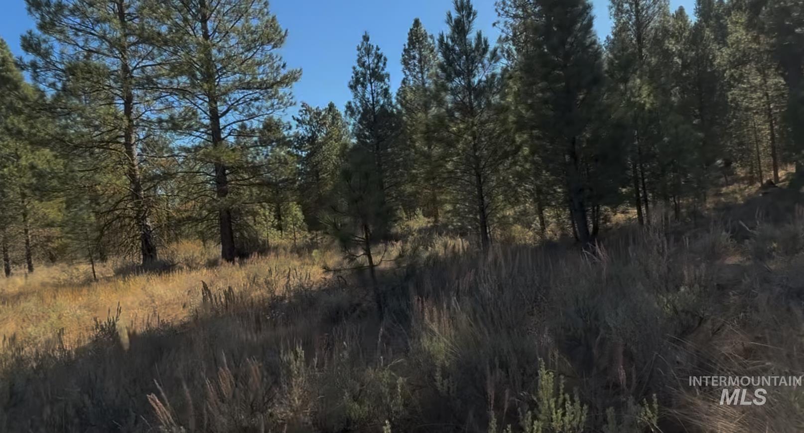 Lot 23 Trail Creek Ct, Placerville, Idaho 83666, Land For Sale, Price $175,000,MLS 98930217