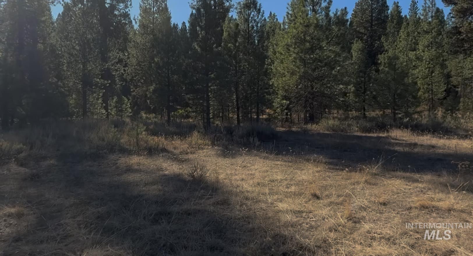 Lot 23 Trail Creek Ct, Placerville, Idaho 83666, Land For Sale, Price $175,000,MLS 98930217