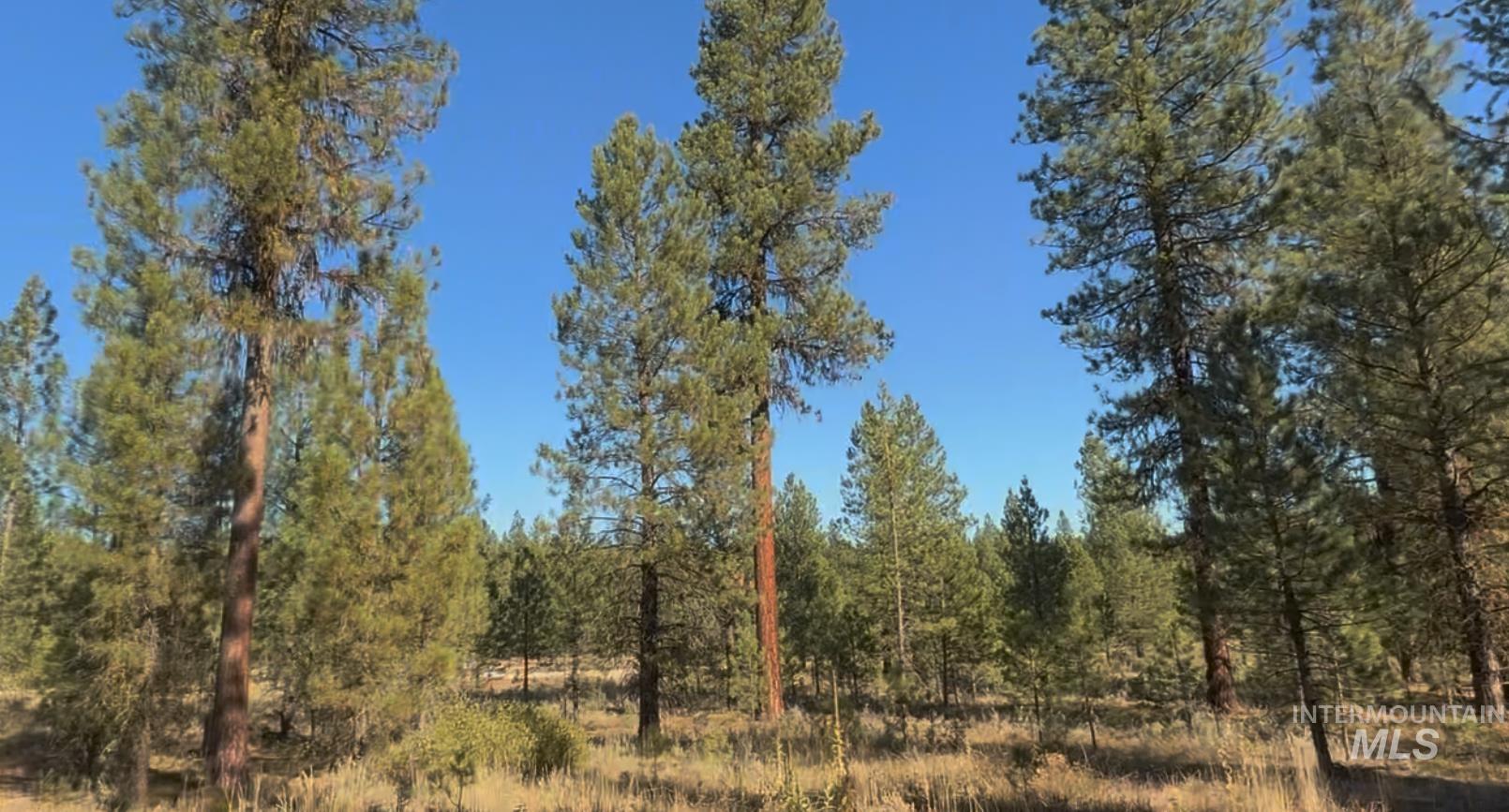 Lot 23 Trail Creek Ct, Placerville, Idaho 83666, Land For Sale, Price $175,000,MLS 98930217