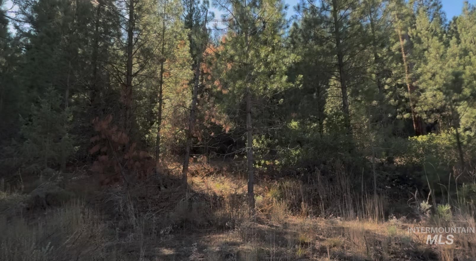 Lot 23 Trail Creek Ct, Placerville, Idaho 83666, Land For Sale, Price $175,000,MLS 98930217