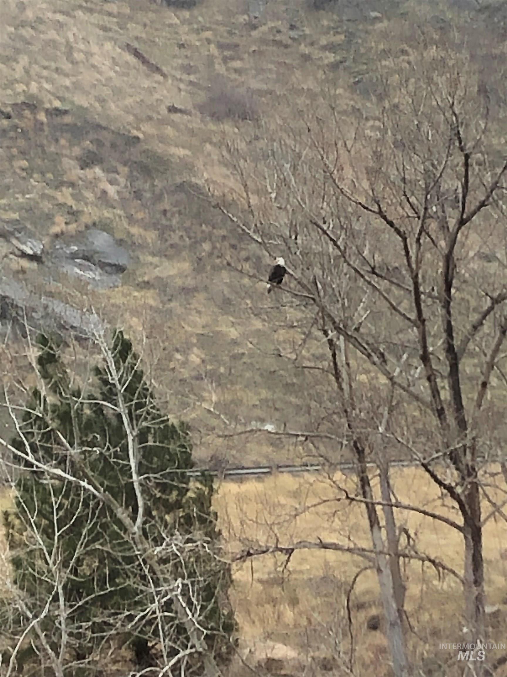 302 Old Pollock Rd, Pollock, Idaho 83547, Land For Sale, Price $460,000,MLS 98930507