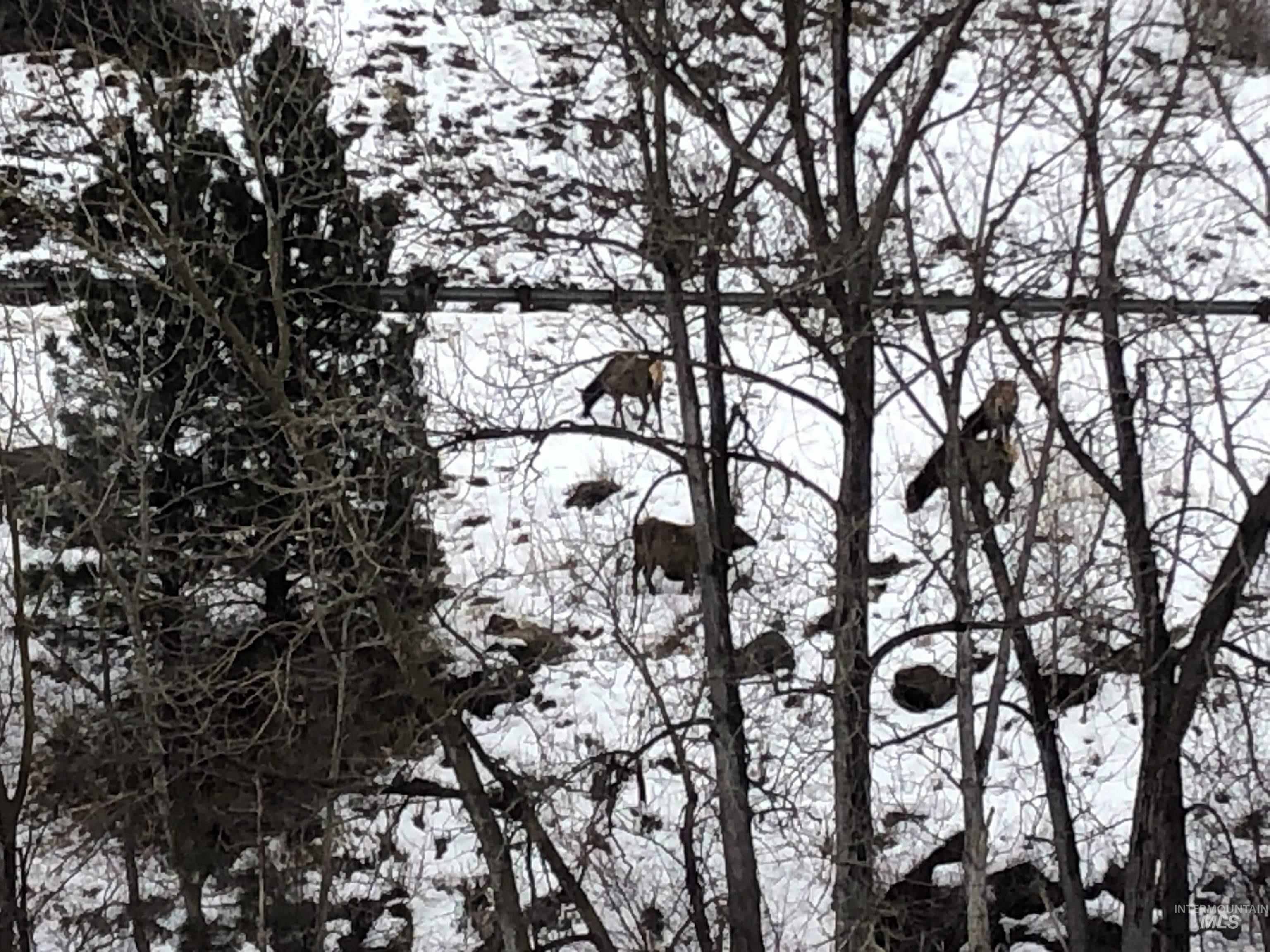 302 Old Pollock Rd, Pollock, Idaho 83547, Land For Sale, Price $460,000,MLS 98930507