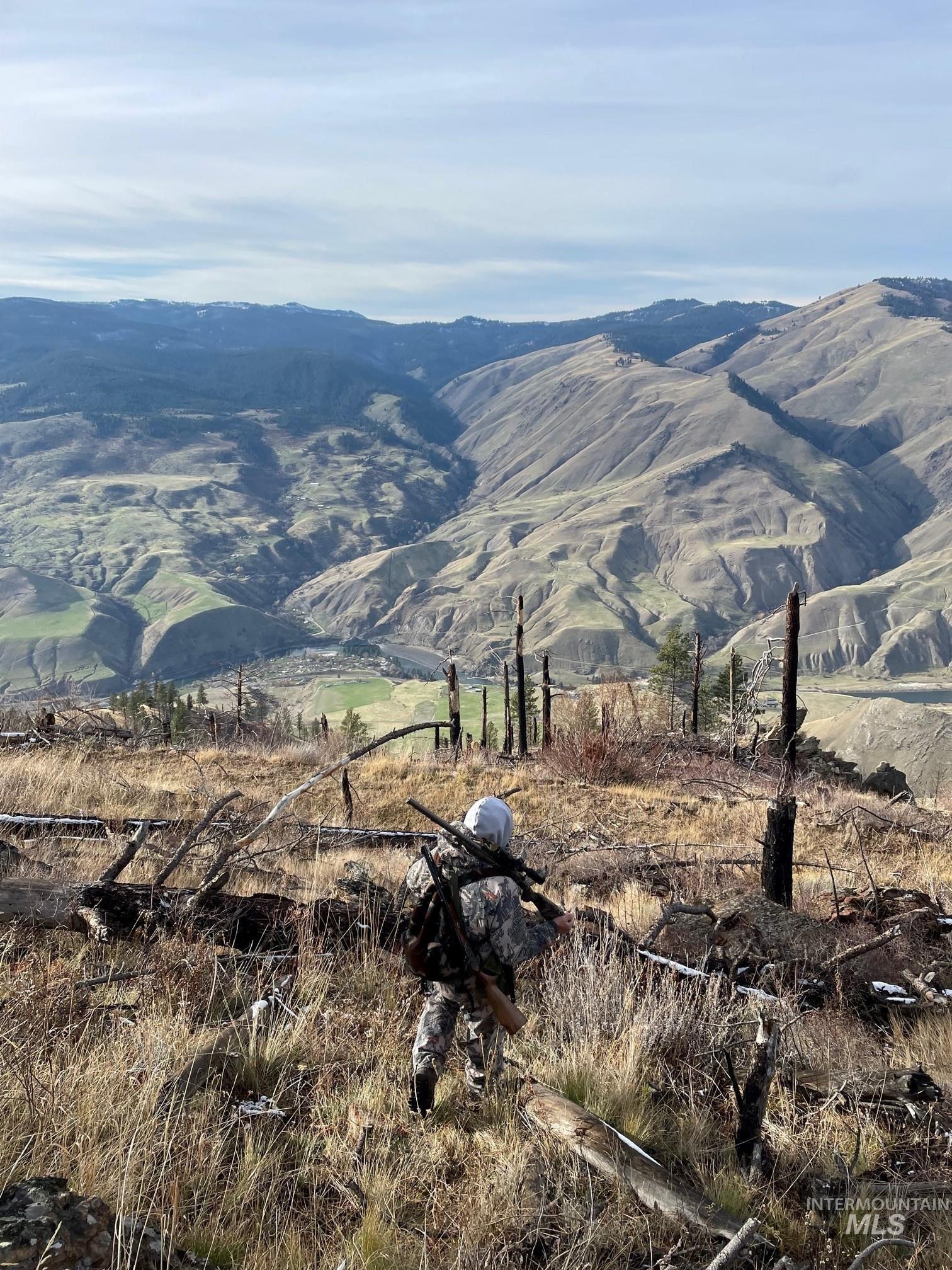 302 Old Pollock Rd, Pollock, Idaho 83547, Land For Sale, Price $460,000,MLS 98930507