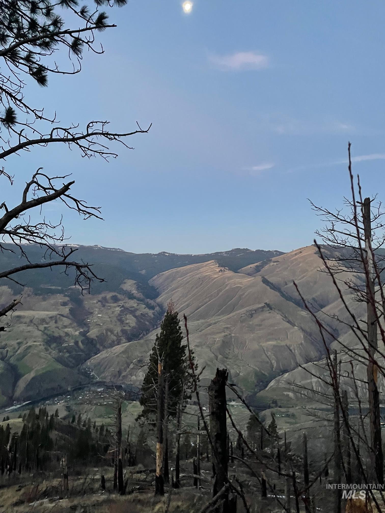 302 Old Pollock Rd, Pollock, Idaho 83547, Land For Sale, Price $460,000,MLS 98930507