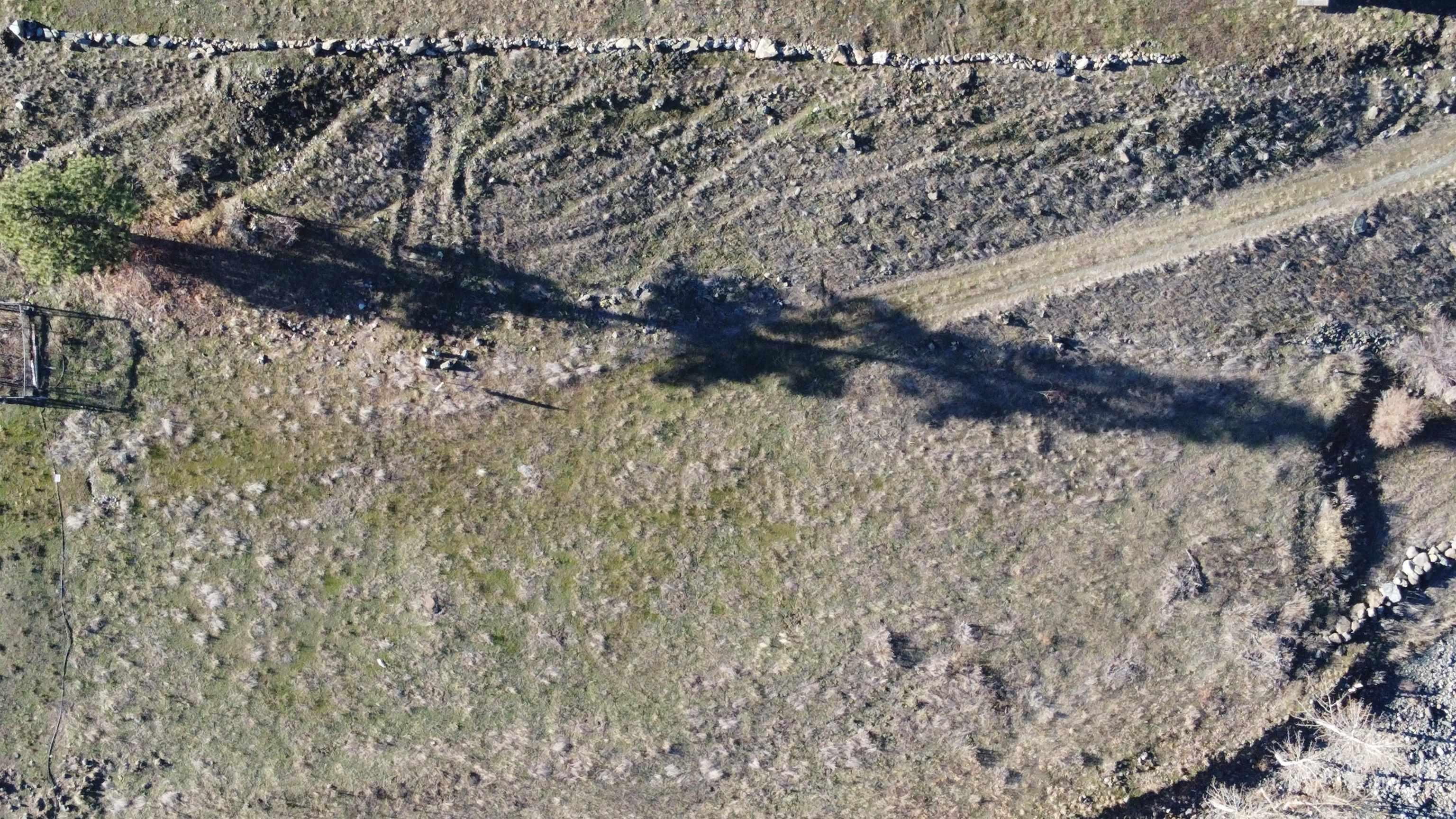 302 Old Pollock Rd, Pollock, Idaho 83547, Land For Sale, Price $460,000,MLS 98930507