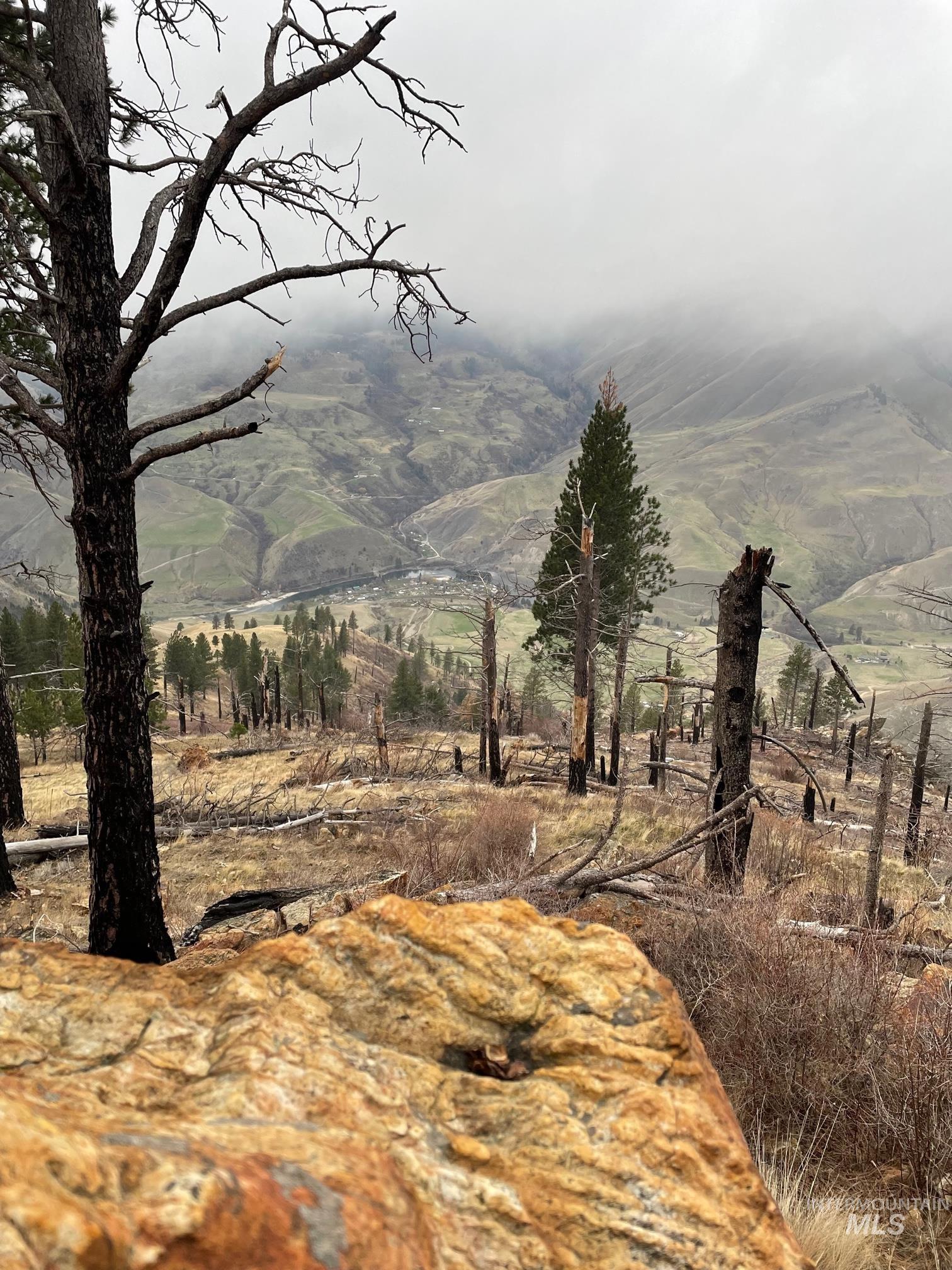 302 Old Pollock Rd, Pollock, Idaho 83547, Land For Sale, Price $460,000,MLS 98930507