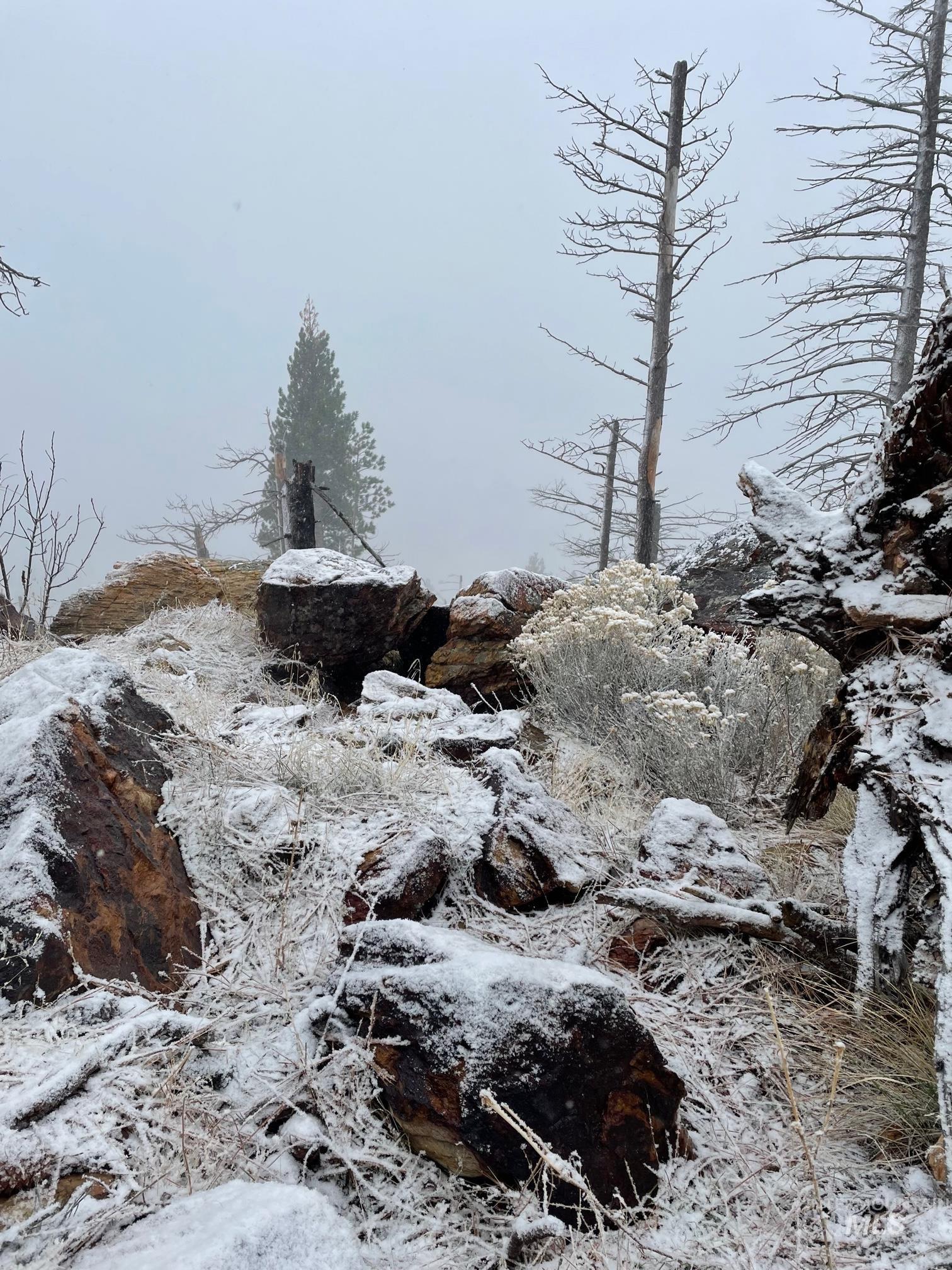 302 Old Pollock Rd, Pollock, Idaho 83547, Land For Sale, Price $460,000,MLS 98930507