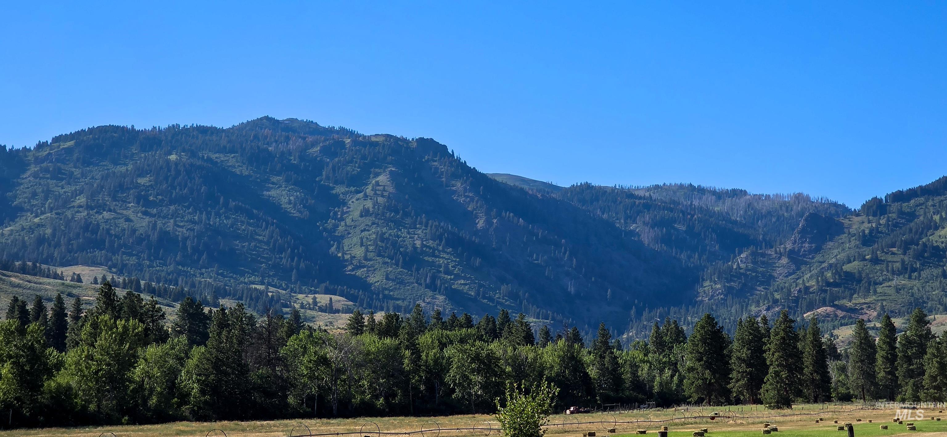 3496 Ward RD, Cambridge, Idaho 83610, 3 Bedrooms, 2 Bathrooms, Residential For Sale, Price $649,000,MLS 98931294