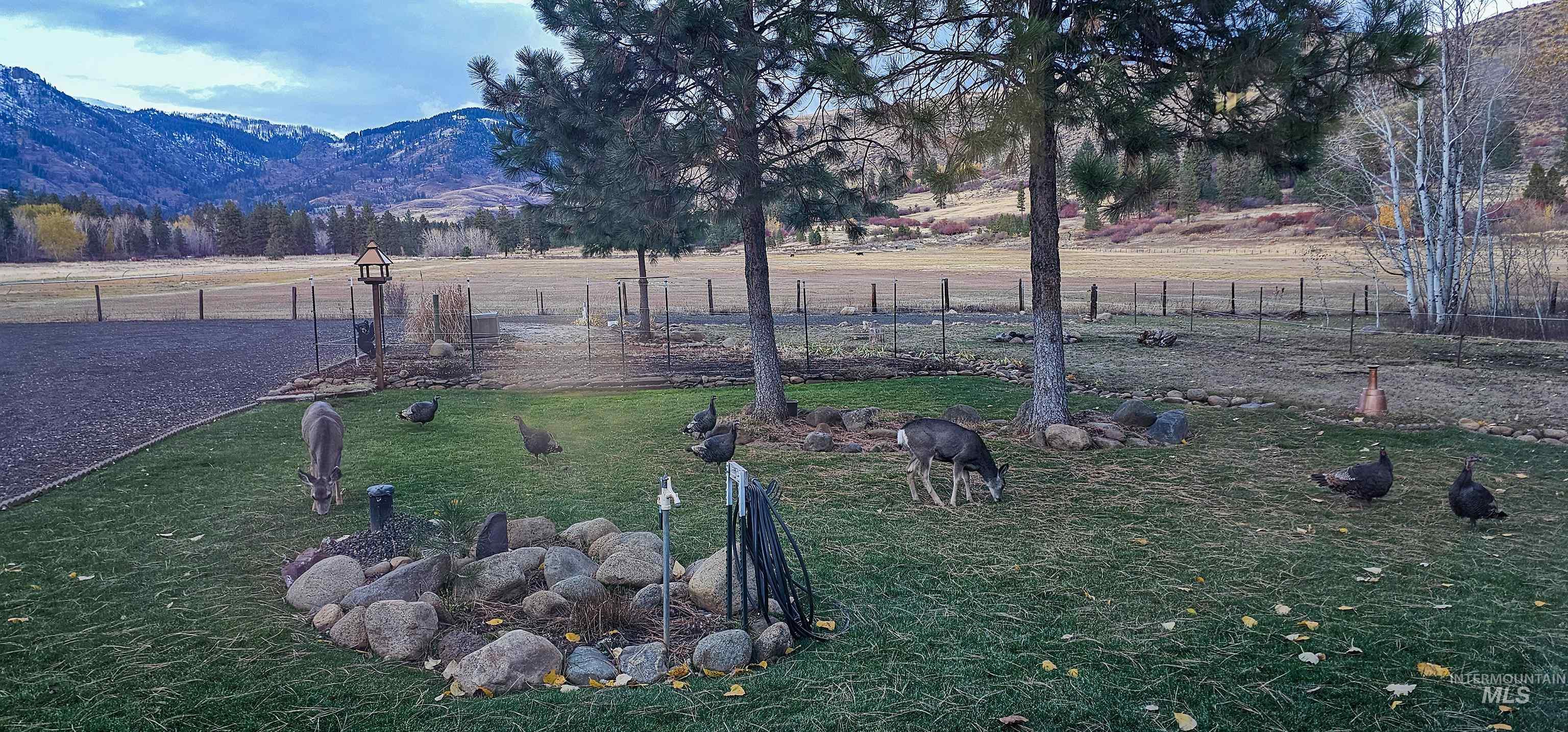 3496 Ward RD, Cambridge, Idaho 83610, 3 Bedrooms, 2 Bathrooms, Residential For Sale, Price $649,000,MLS 98931294