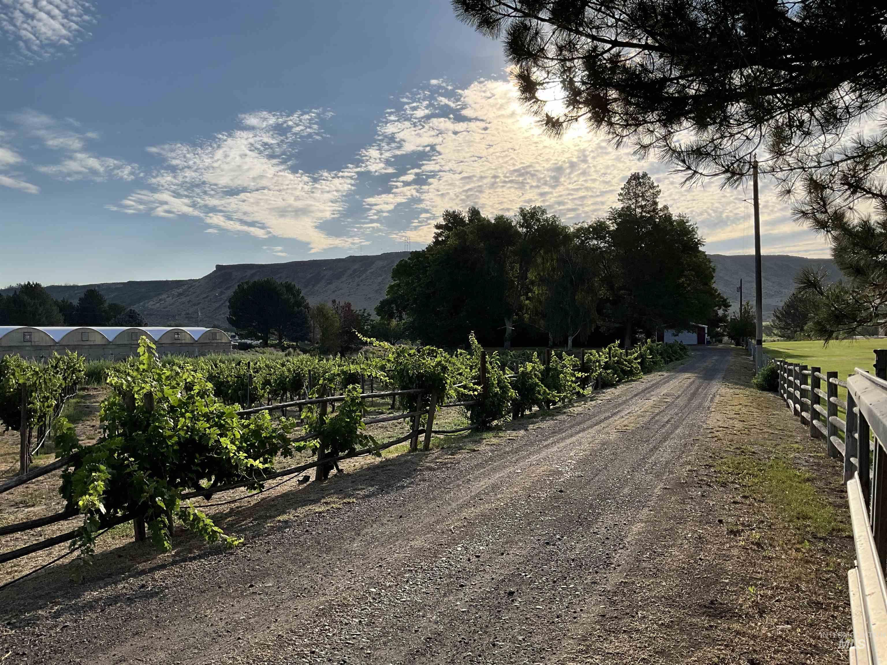 4778 River Road, Buhl, Idaho 83316, 2 Bedrooms, 1 Bathroom, Residential For Sale, Price $1,350,000, 98931714