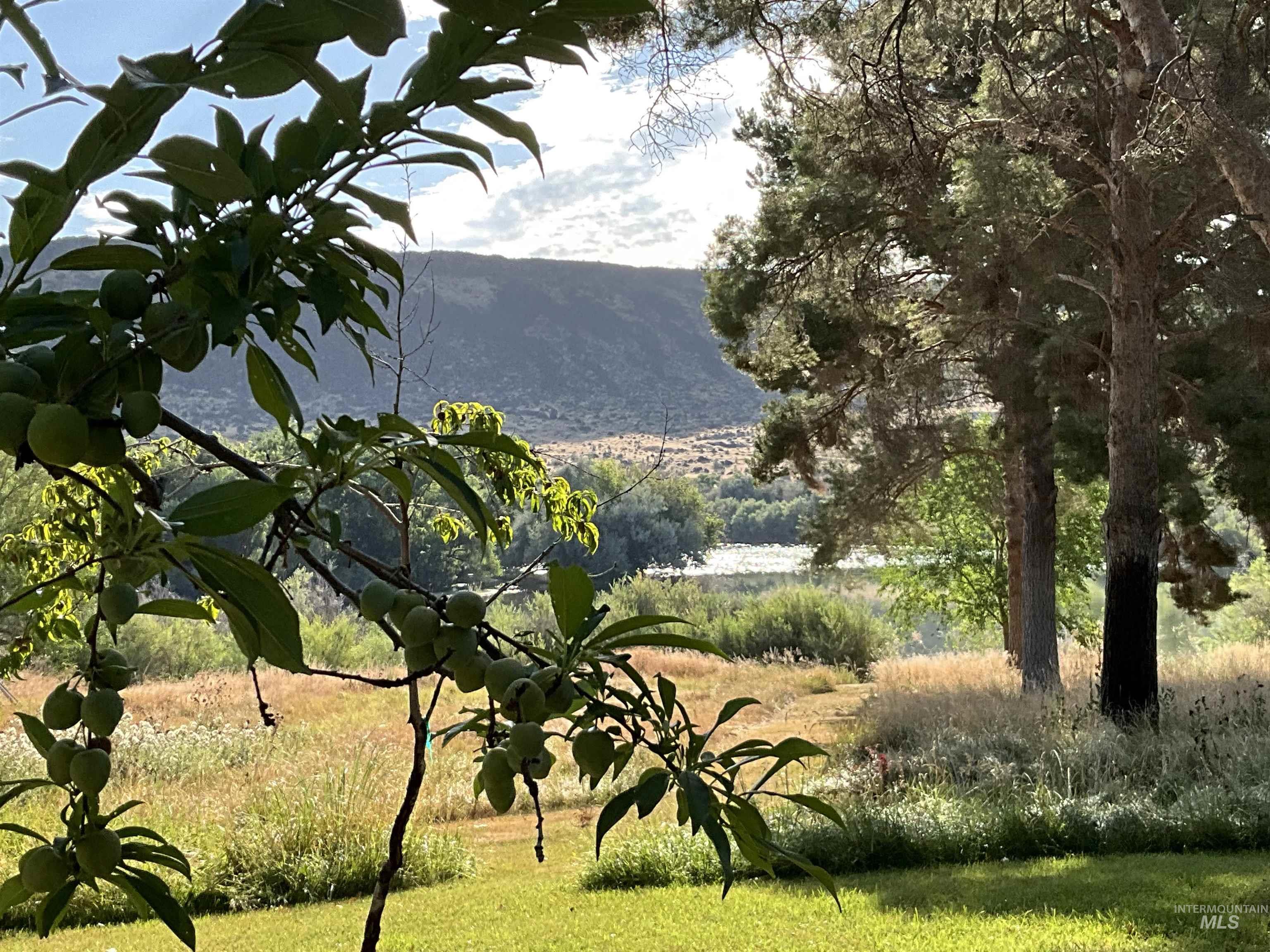 4778 River Road, Buhl, Idaho 83316, 2 Bedrooms, 1 Bathroom, Residential For Sale, Price $1,350,000, 98931714