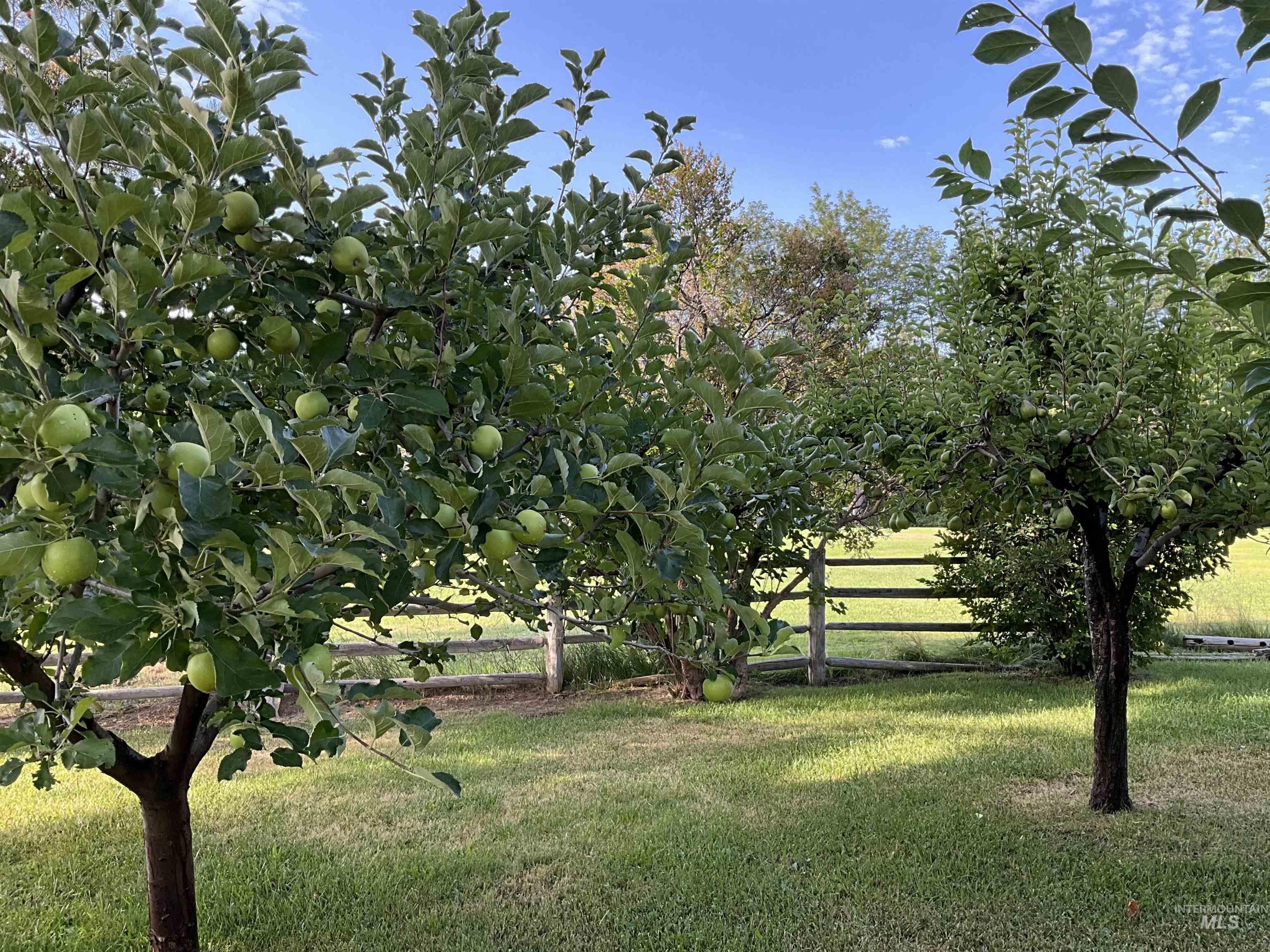 4778 River Road, Buhl, Idaho 83316, 2 Bedrooms, 1 Bathroom, Residential For Sale, Price $1,350,000, 98931714