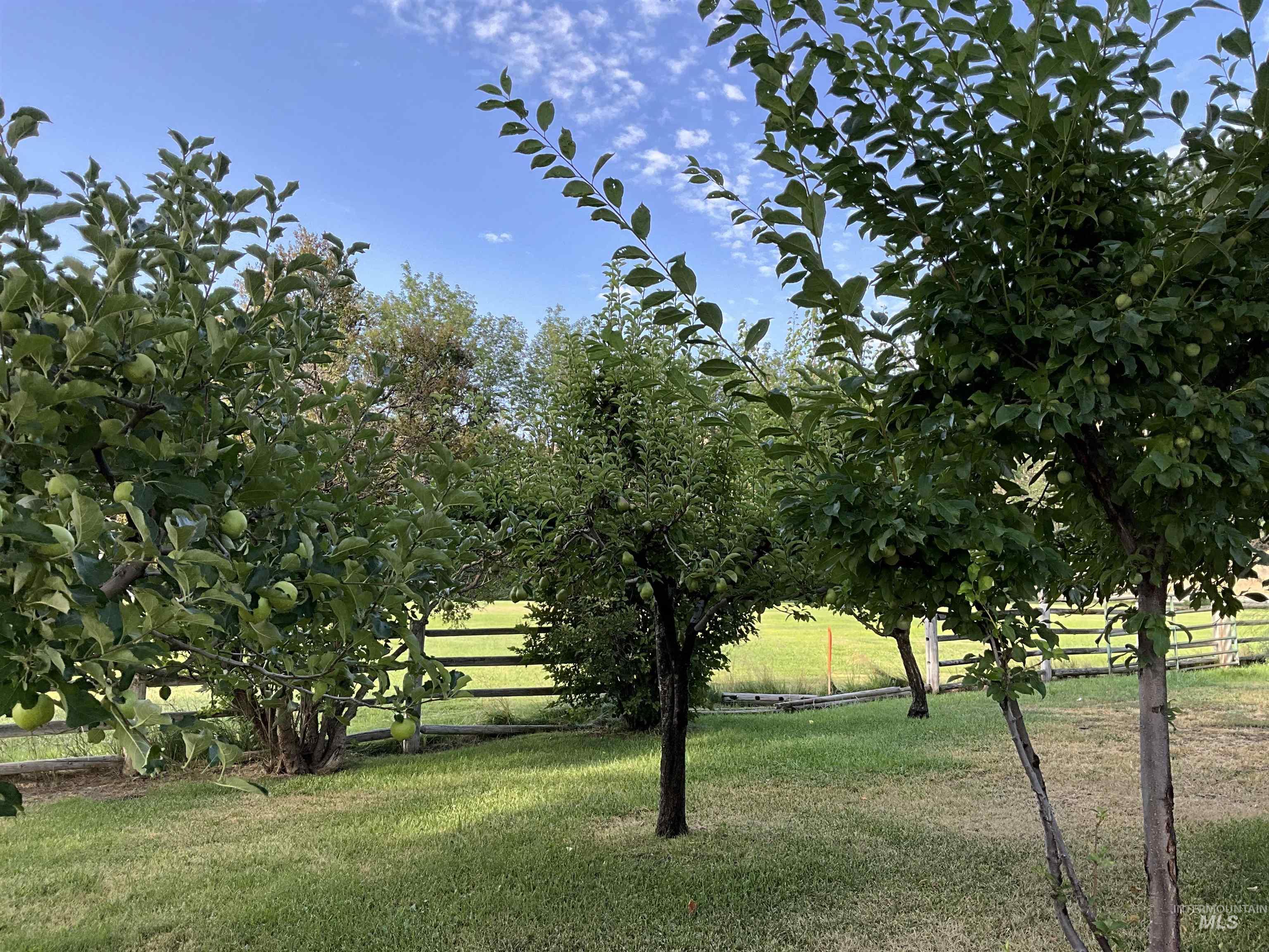 4778 River Road, Buhl, Idaho 83316, 2 Bedrooms, 1 Bathroom, Residential For Sale, Price $1,350,000, 98931714