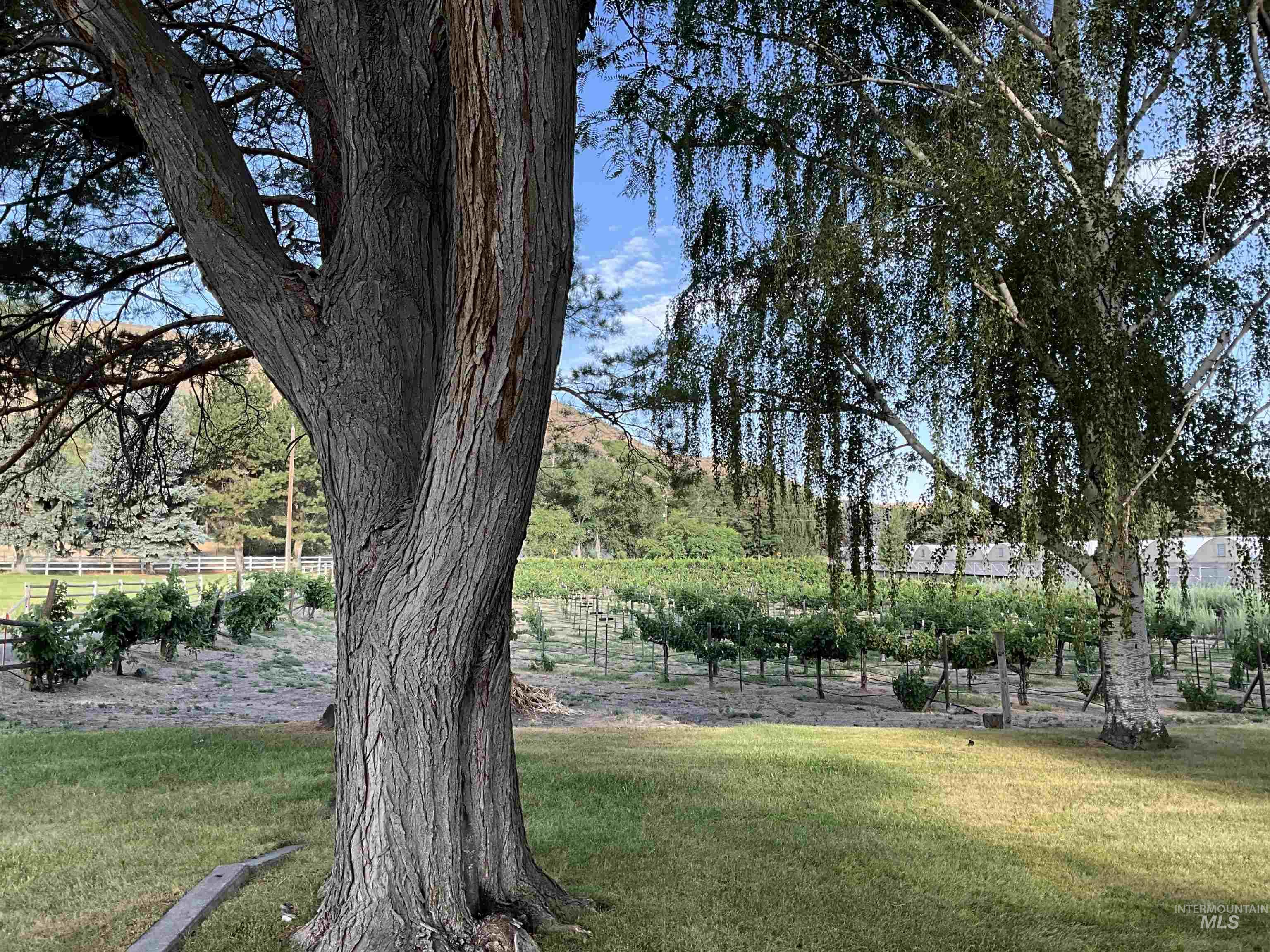 4778 River Road, Buhl, Idaho 83316, 2 Bedrooms, 1 Bathroom, Residential For Sale, Price $1,350,000, 98931714