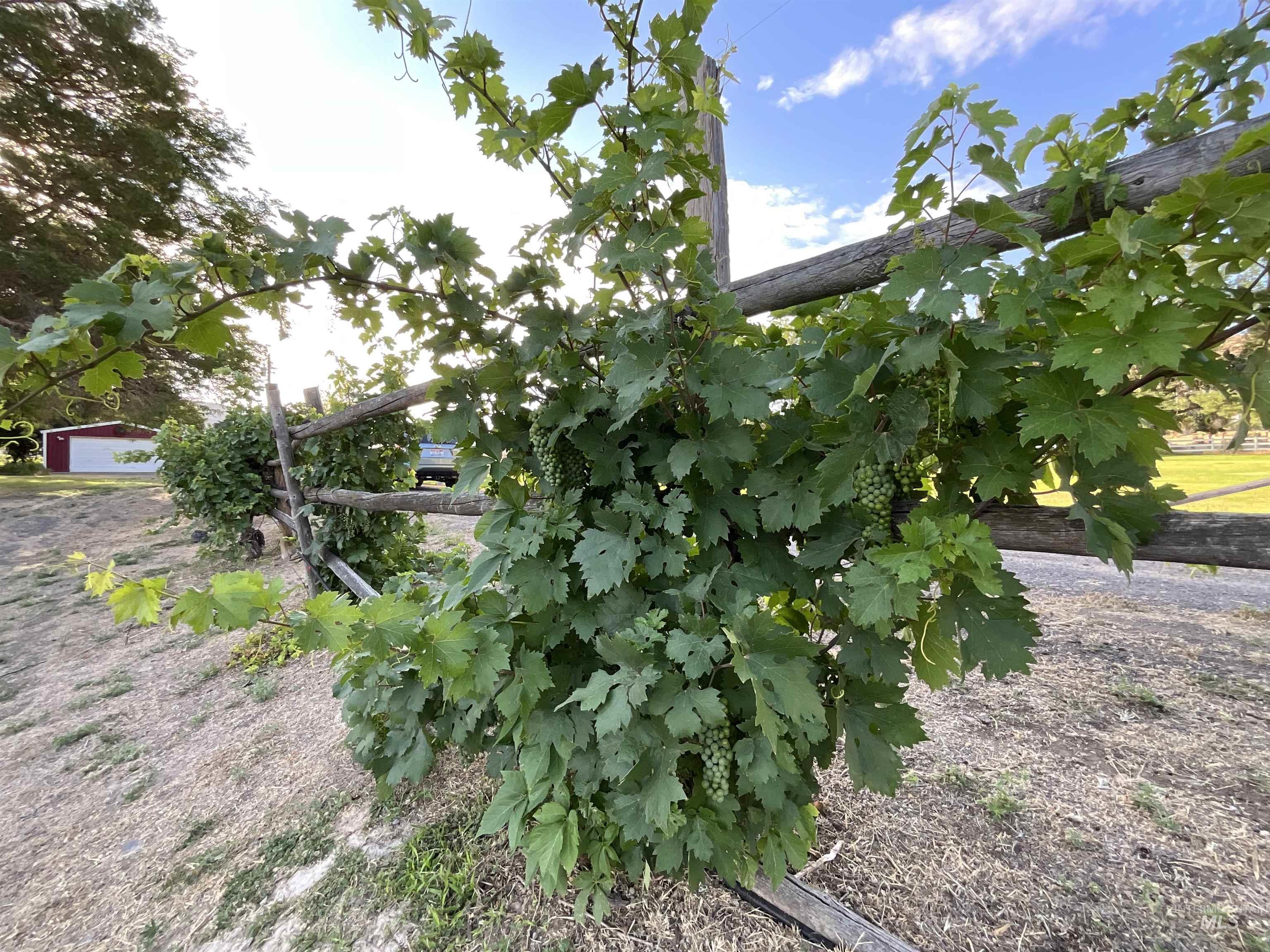 4778 River Road, Buhl, Idaho 83316, 2 Bedrooms, 1 Bathroom, Residential For Sale, Price $1,350,000, 98931714