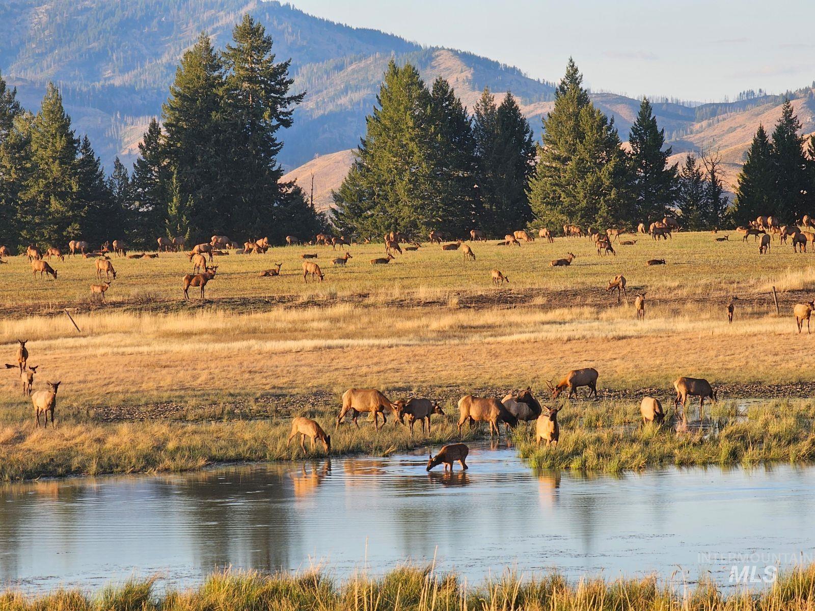 NE Little Camas Reservoir Road, Mountain Home, Idaho 83647, 3 Bedrooms, 2 Bathrooms, Farm & Ranch For Sale, Price $22,500,000, 98931946