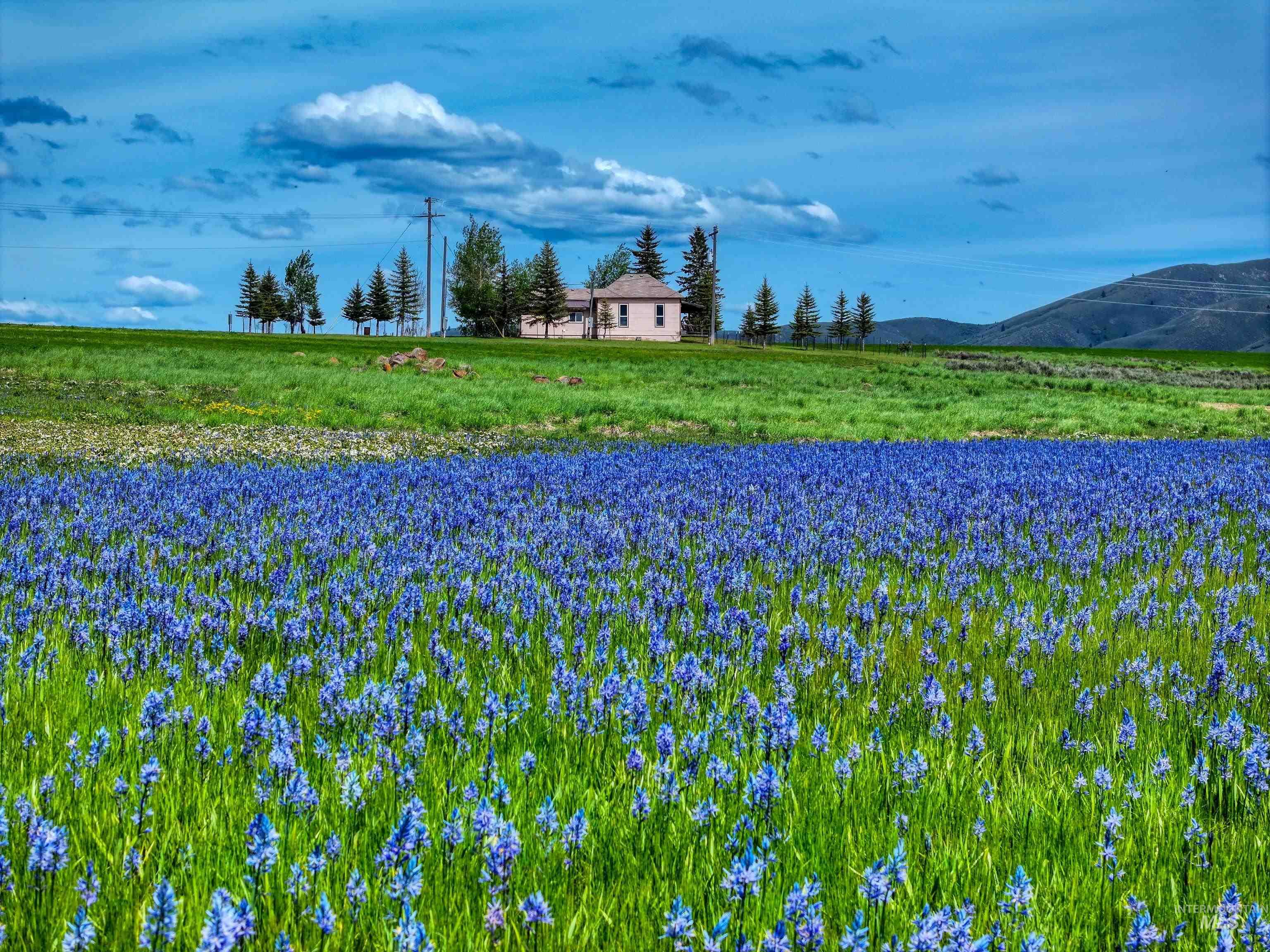 NE Little Camas Reservoir Road, Mountain Home, Idaho 83647, 3 Bedrooms, 2 Bathrooms, Farm & Ranch For Sale, Price $22,500,000, 98931946