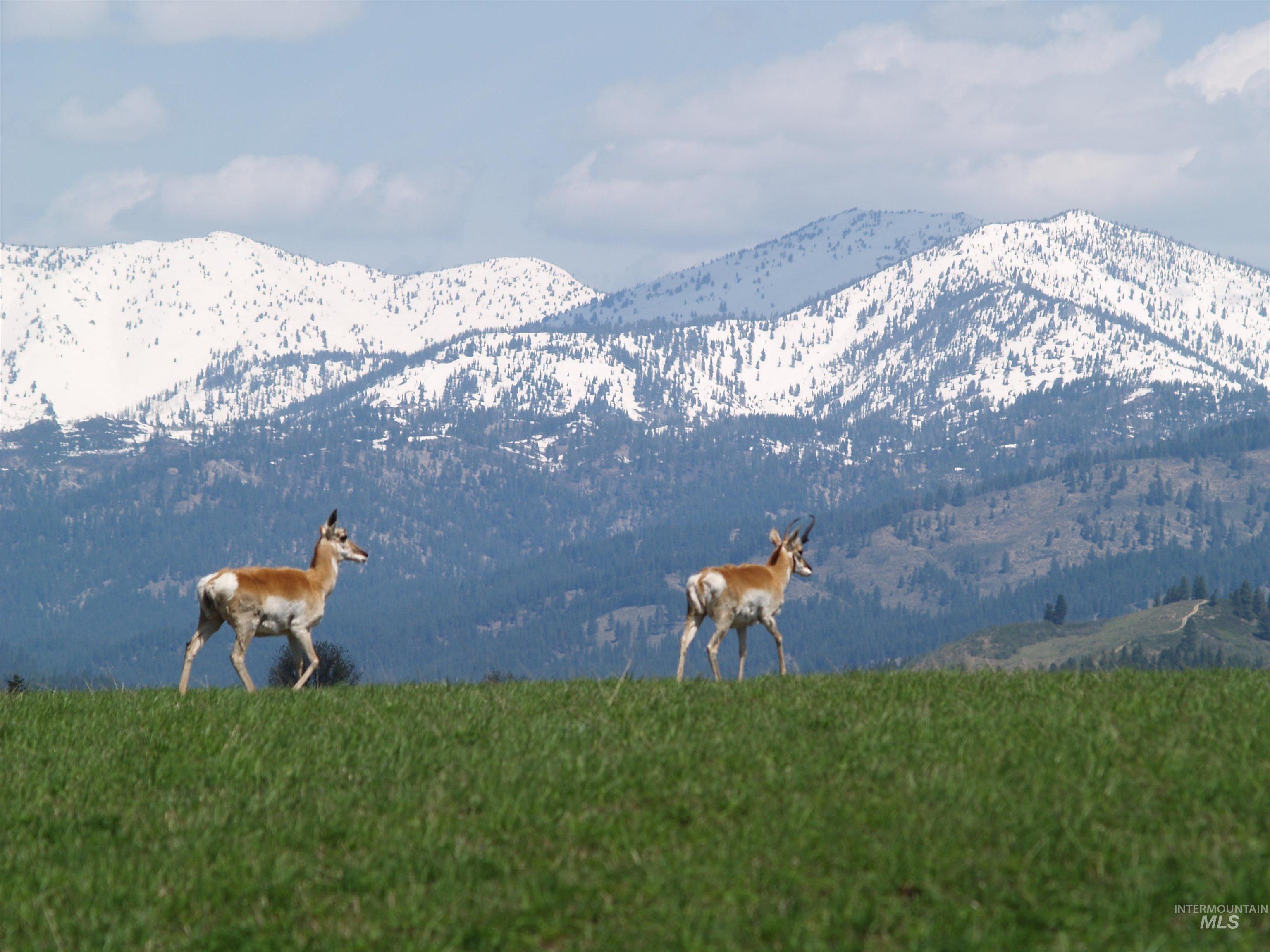 NE Little Camas Reservoir Road, Mountain Home, Idaho 83647, 3 Bedrooms, 2 Bathrooms, Farm & Ranch For Sale, Price $25,000,000, 98931946