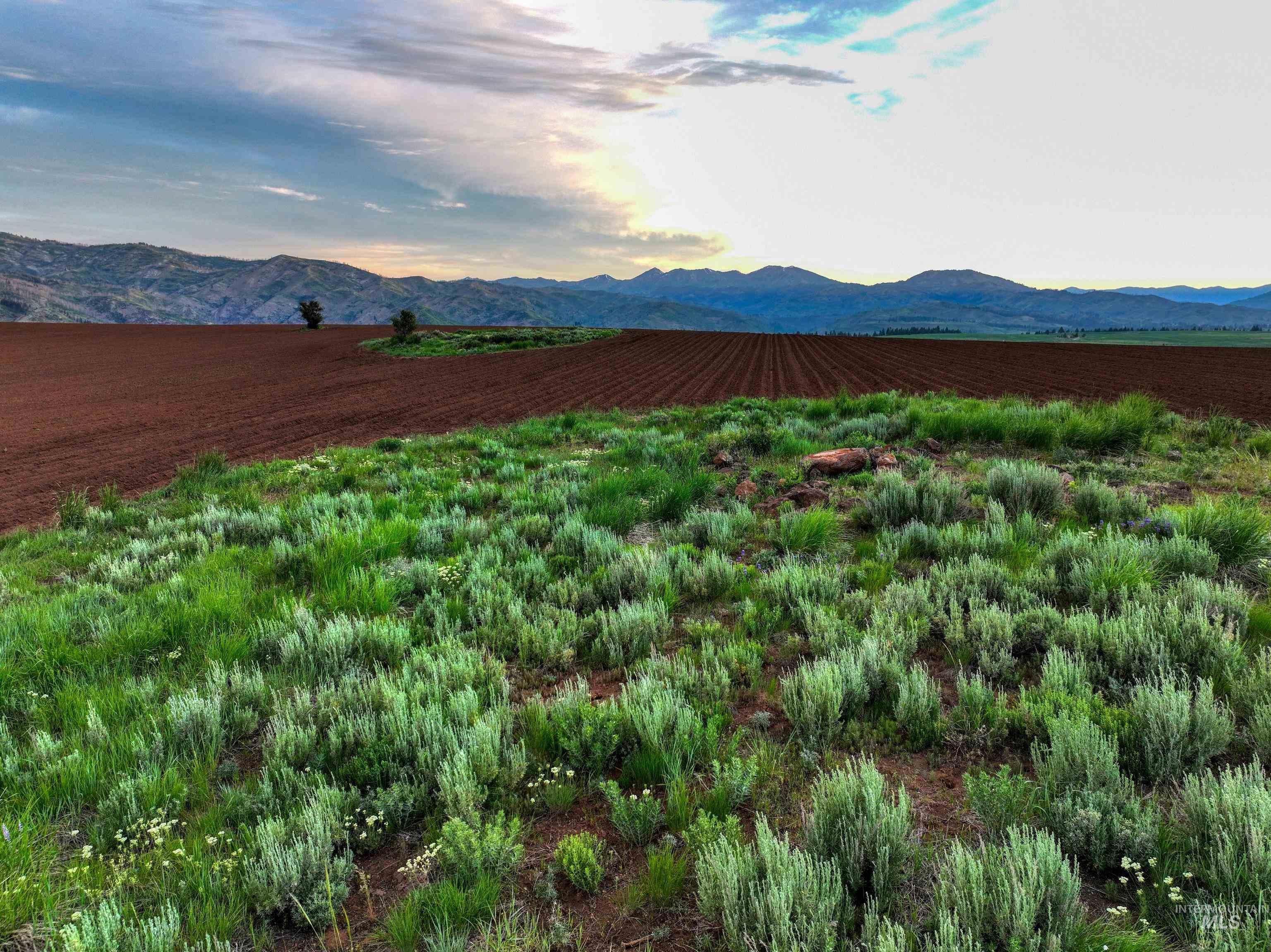 NE Little Camas Reservoir Road, Mountain Home, Idaho 83647, 3 Bedrooms, 2 Bathrooms, Farm & Ranch For Sale, Price $22,500,000, 98931946