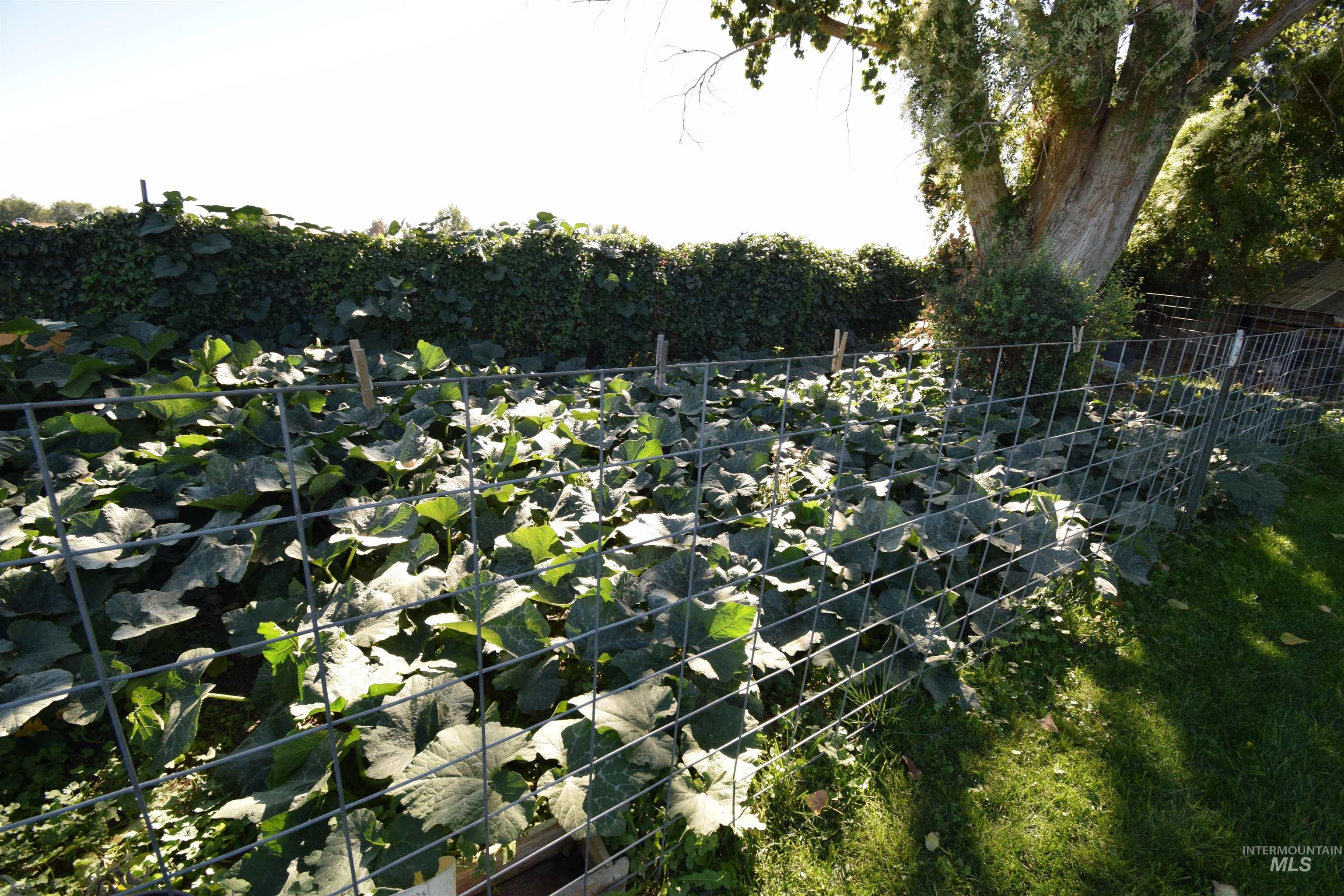 518 US Highway 95, Weiser, Idaho 83672, 3 Bedrooms, 2 Bathrooms, Residential For Sale, Price $425,000, 98932170