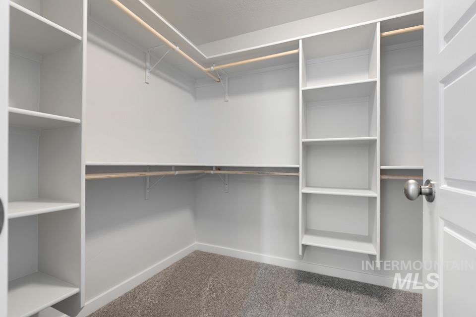 Walk in closet featuring carpet