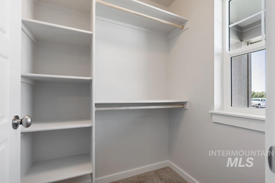 Spacious closet with carpet floors