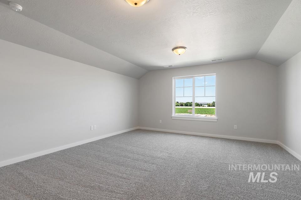 Additional living space with carpet floors, lofted ceiling, and a textured ceiling