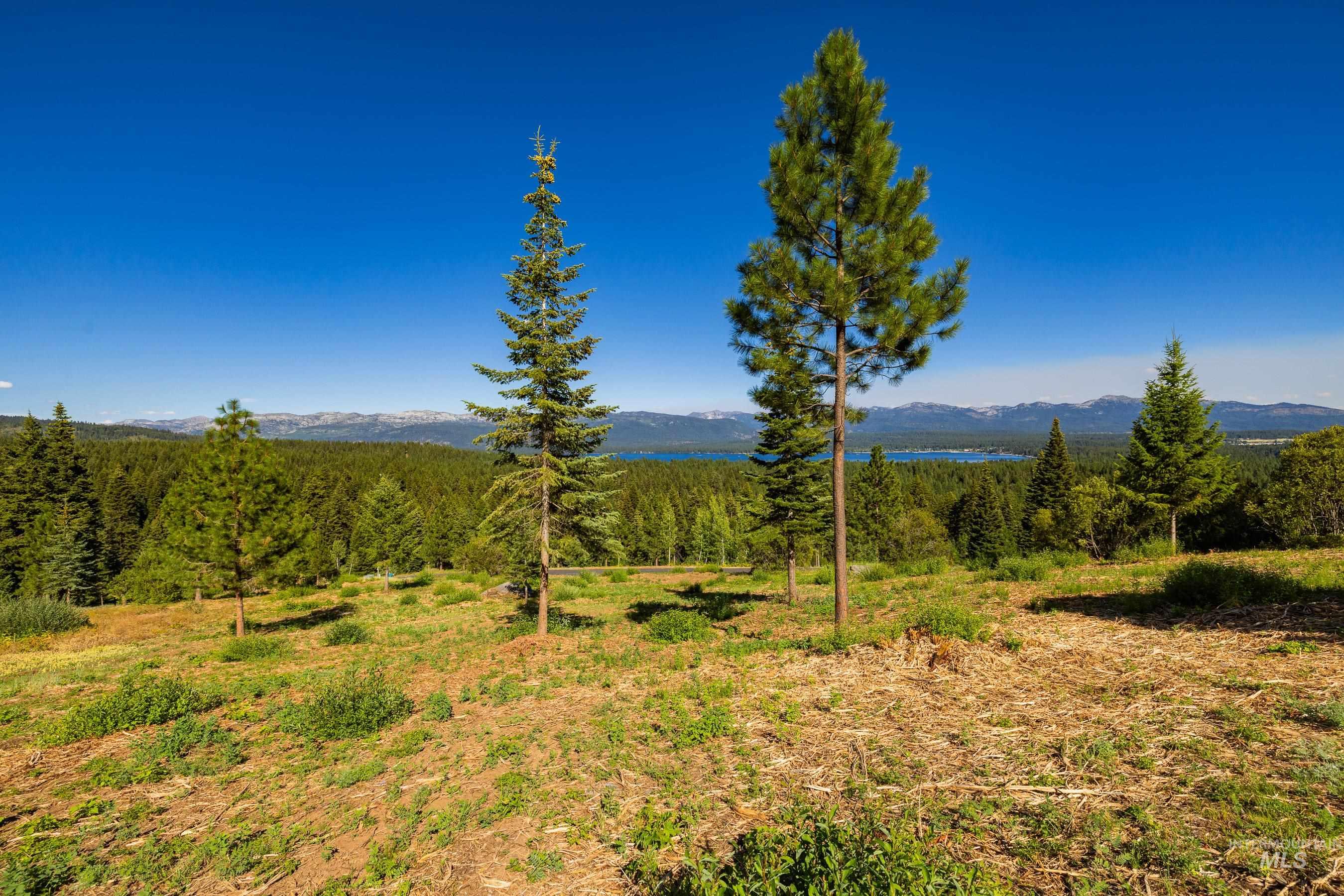 1697 Club Hill Blvd., McCall, Idaho 83638, Land For Sale, Price $599,500,MLS 98933135