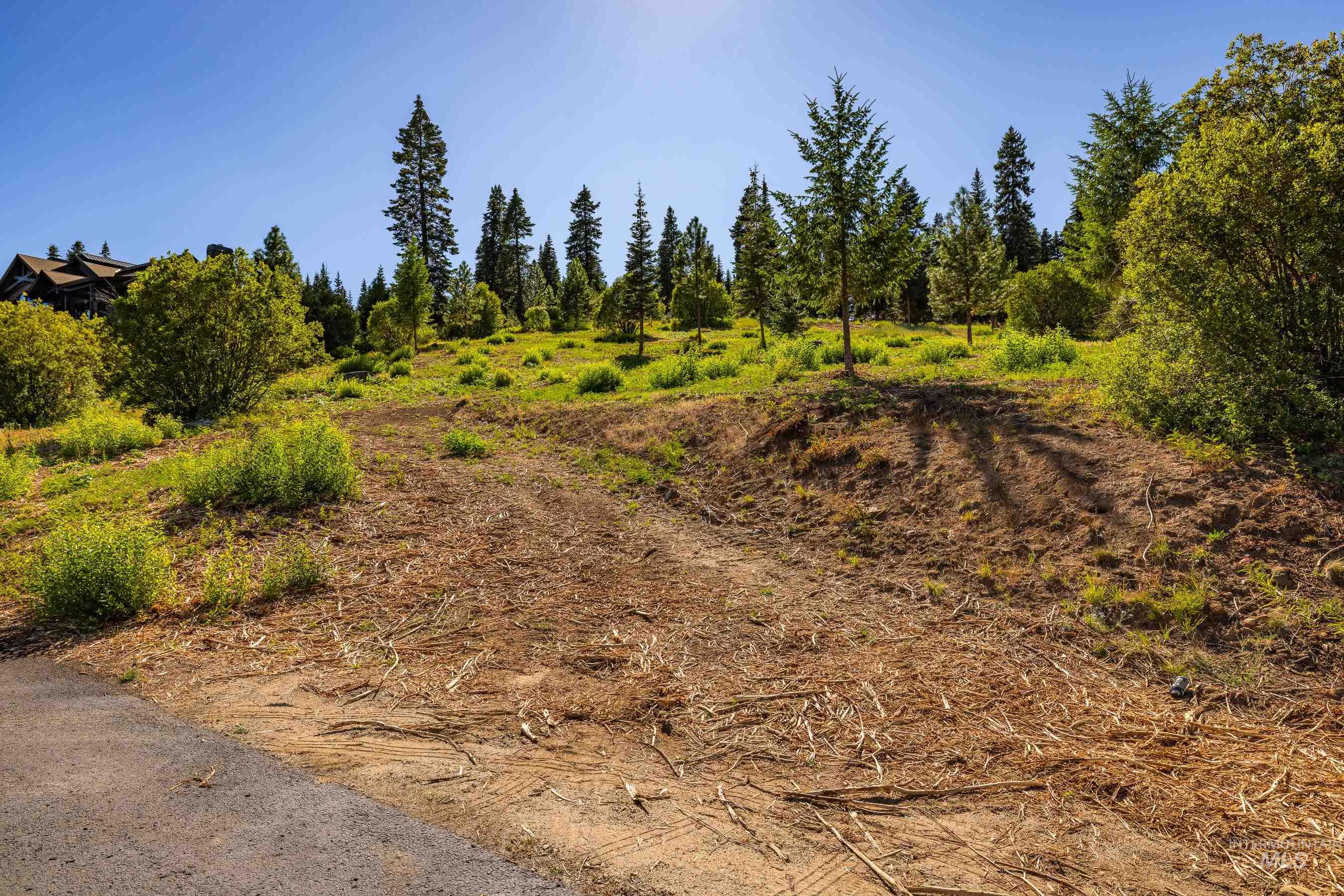 1697 Club Hill Blvd., McCall, Idaho 83638, Land For Sale, Price $599,500,MLS 98933135
