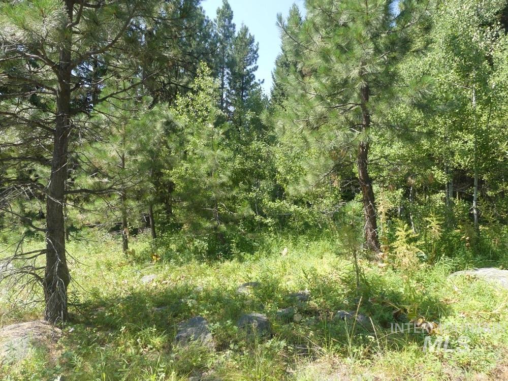 1625 Lakeridge Drive, McCall, Idaho 83638, Land For Sale, Price $499,000, 98933838