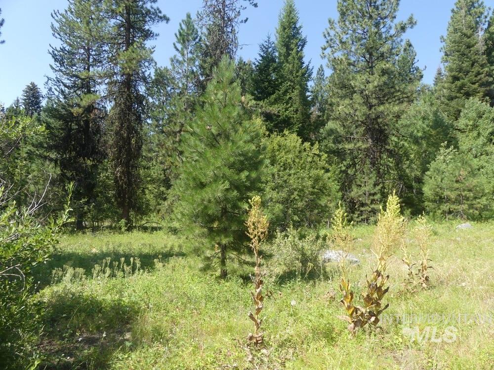 1625 Lakeridge Drive, McCall, Idaho 83638, Land For Sale, Price $499,000, 98933838