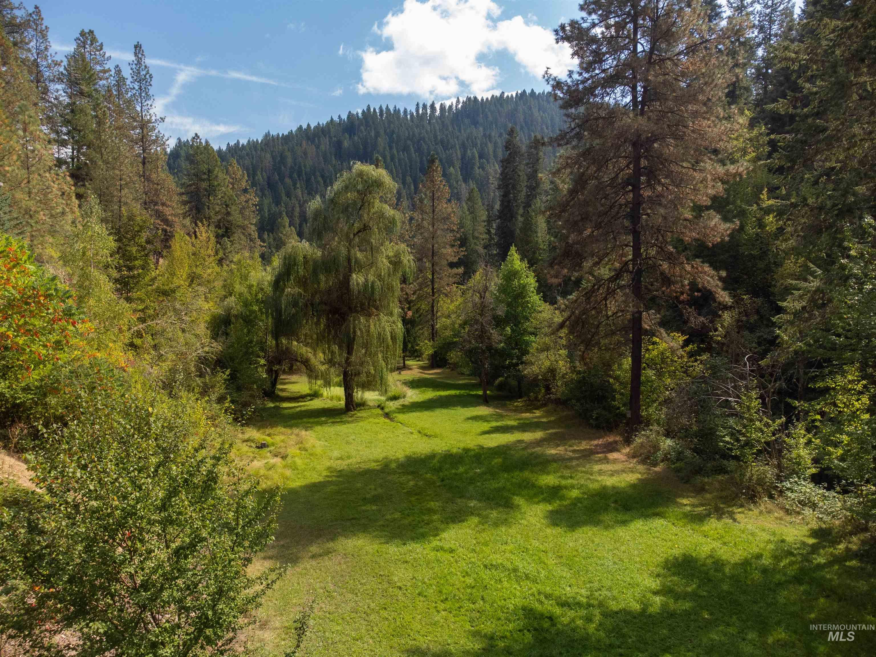 117 Suttler Creek, Kooskia, Idaho 83539, 3 Bedrooms, 3 Bathrooms, Residential For Sale, Price $999,999, 98934331