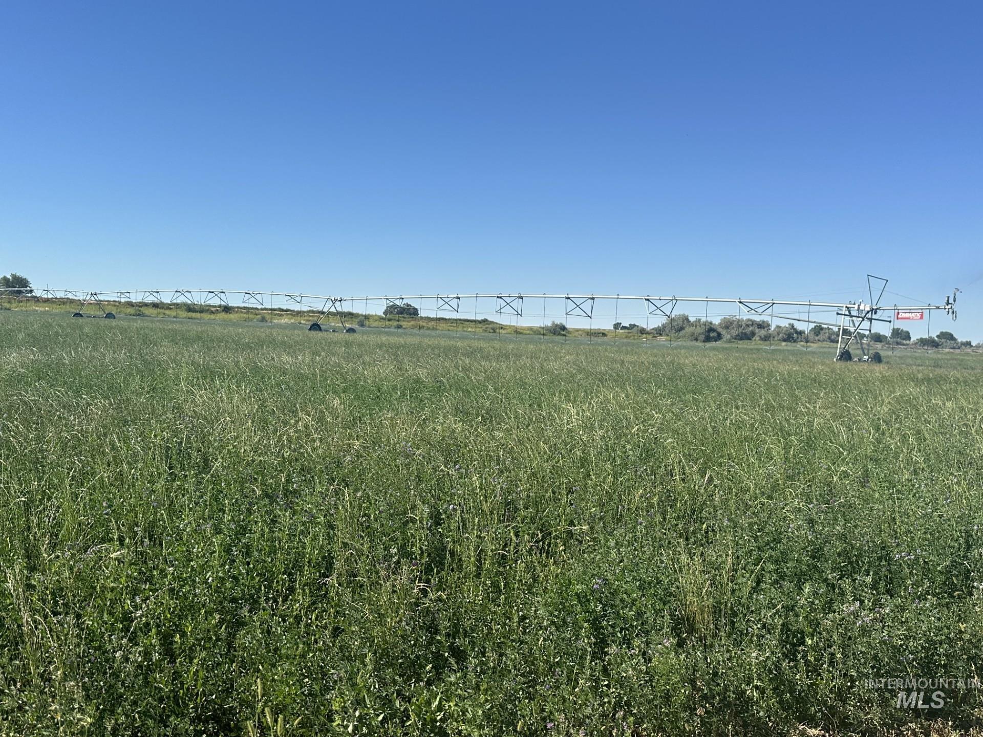 TBD Mendiola Rd., Nyssa, Oregon 97901, Farm & Ranch For Sale, Price $849,000,MLS 98934472