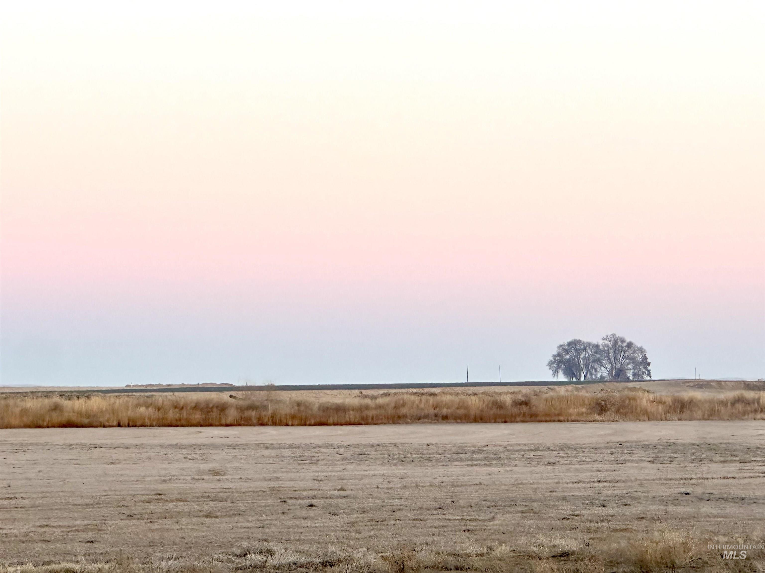 TBD Mendiola Rd., Nyssa, Oregon 97901, Farm & Ranch For Sale, Price $849,000,MLS 98934472